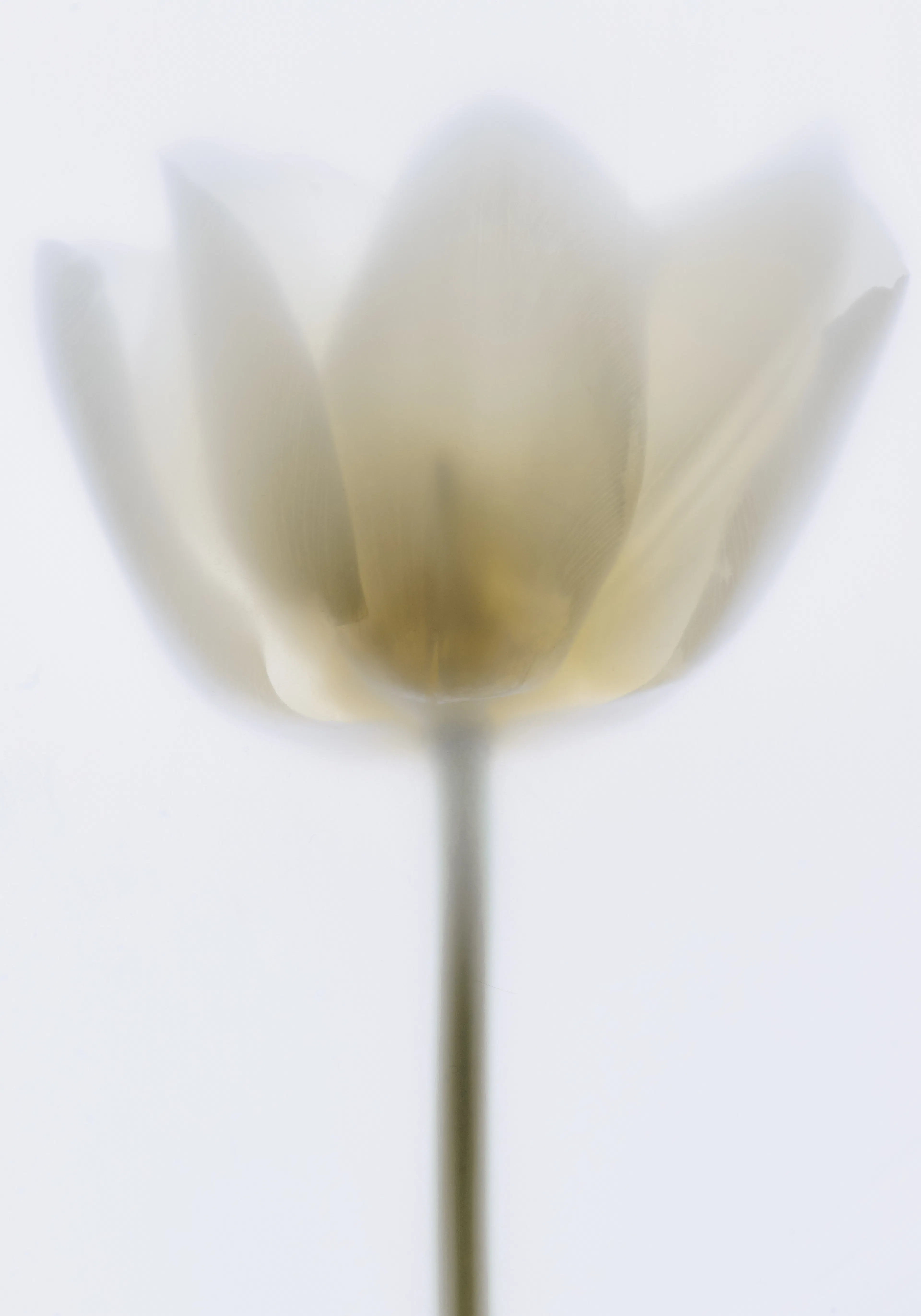 Product image: 1