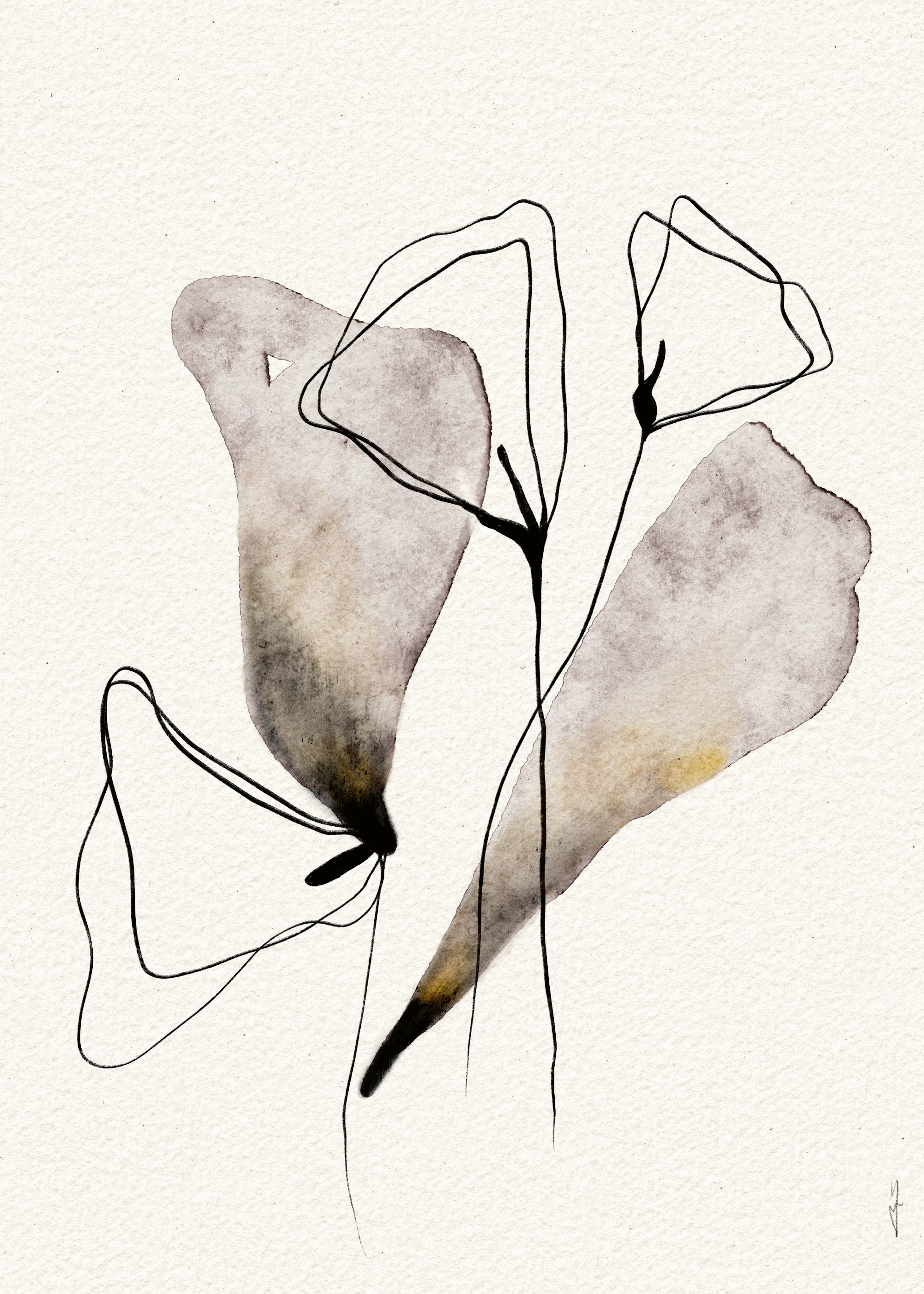 Ankie Kooi - Abstract Watercolour Flora Poster 0