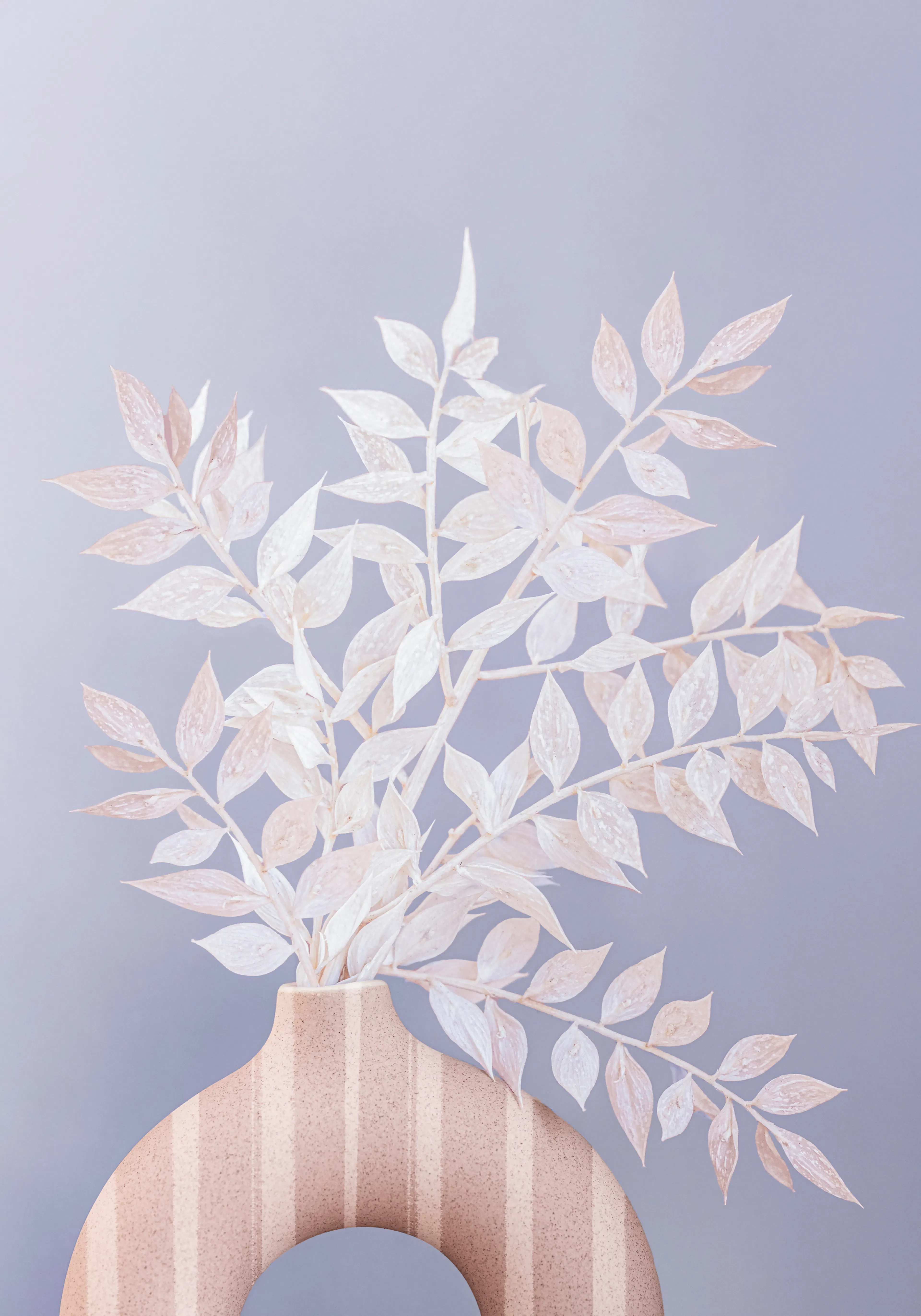 Product image: 1