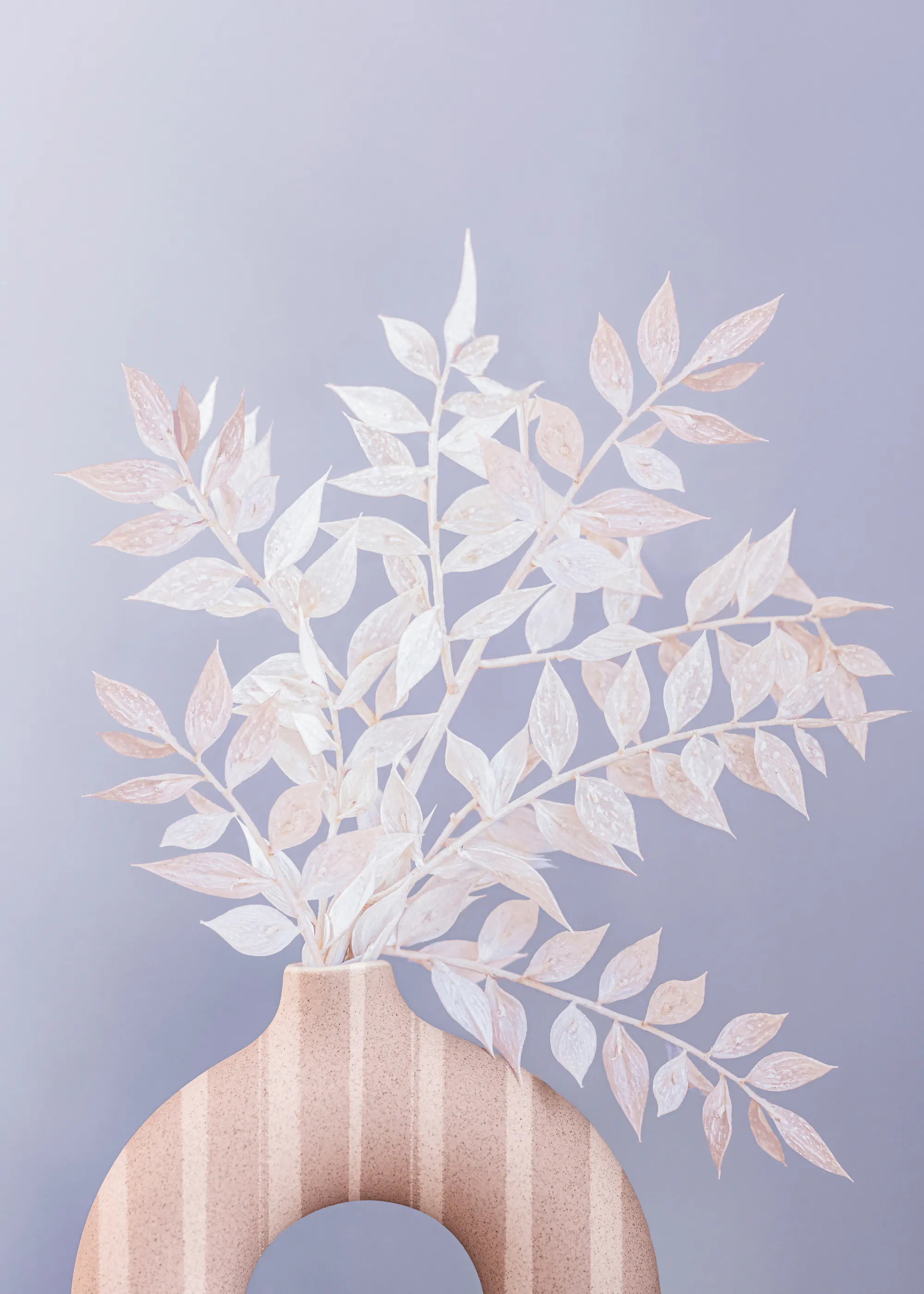 Kathrin Pienaar - Ruscus Print 0