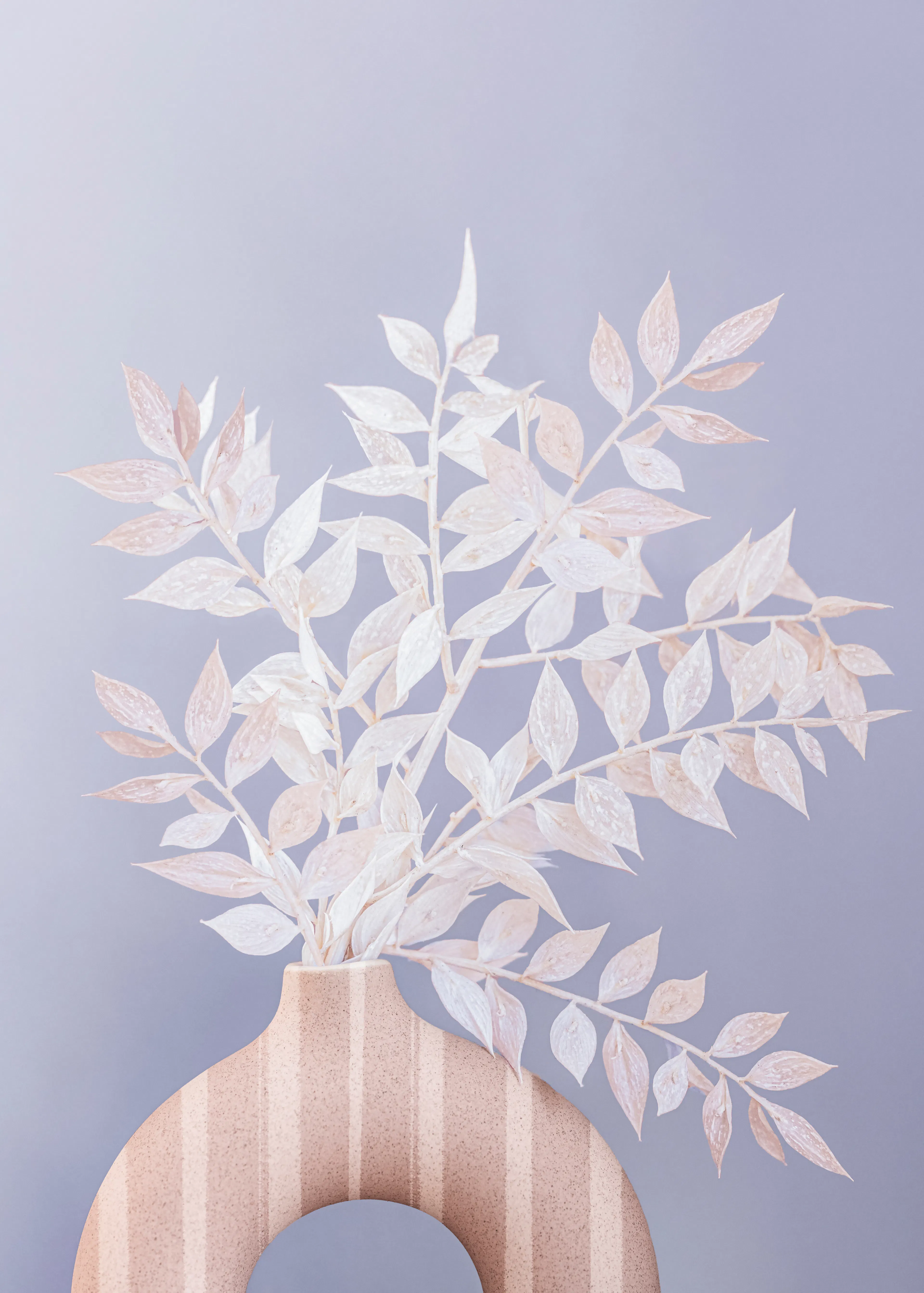 Kathrin Pienaar - Ruscus Print 0