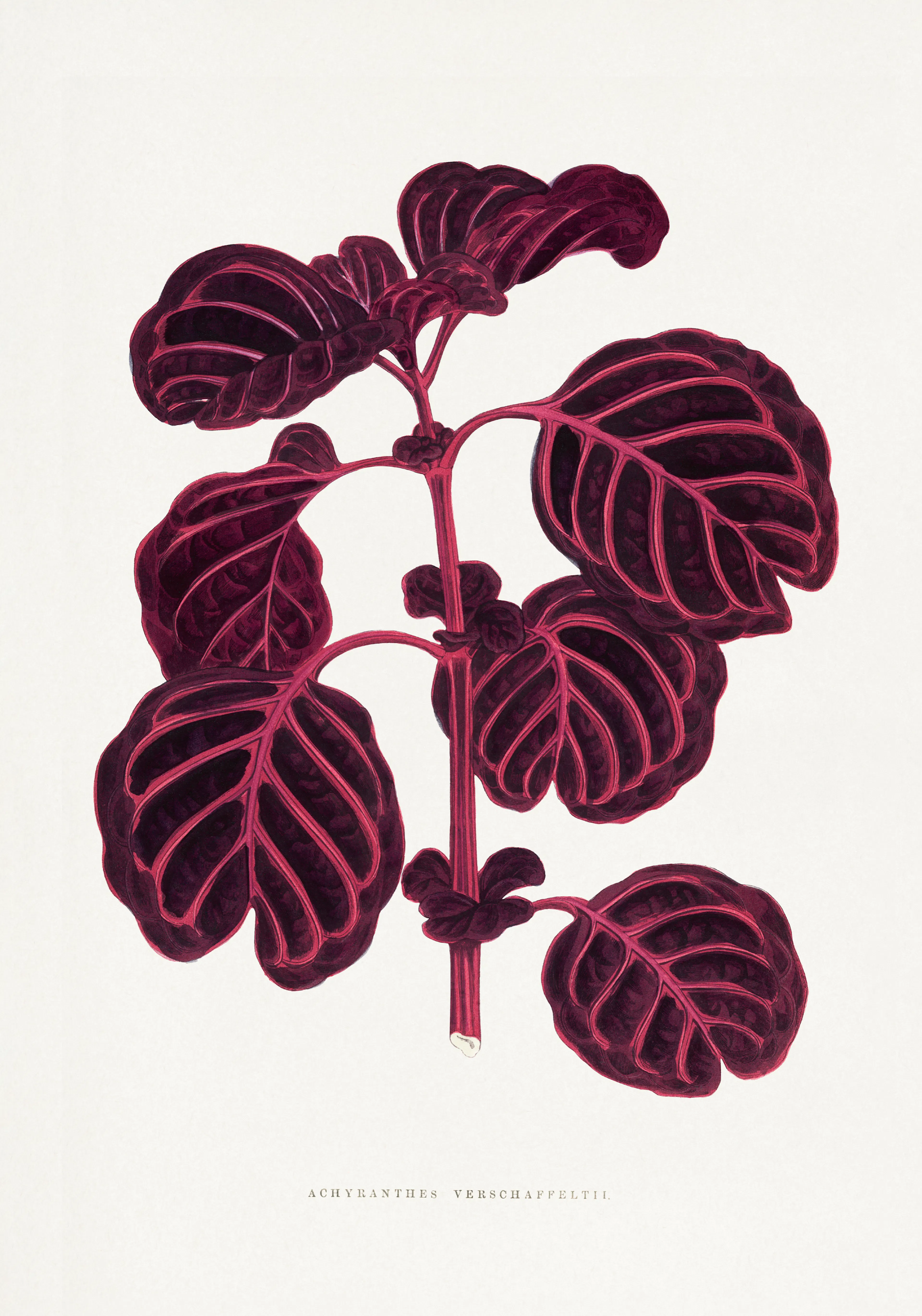 Product image: 1