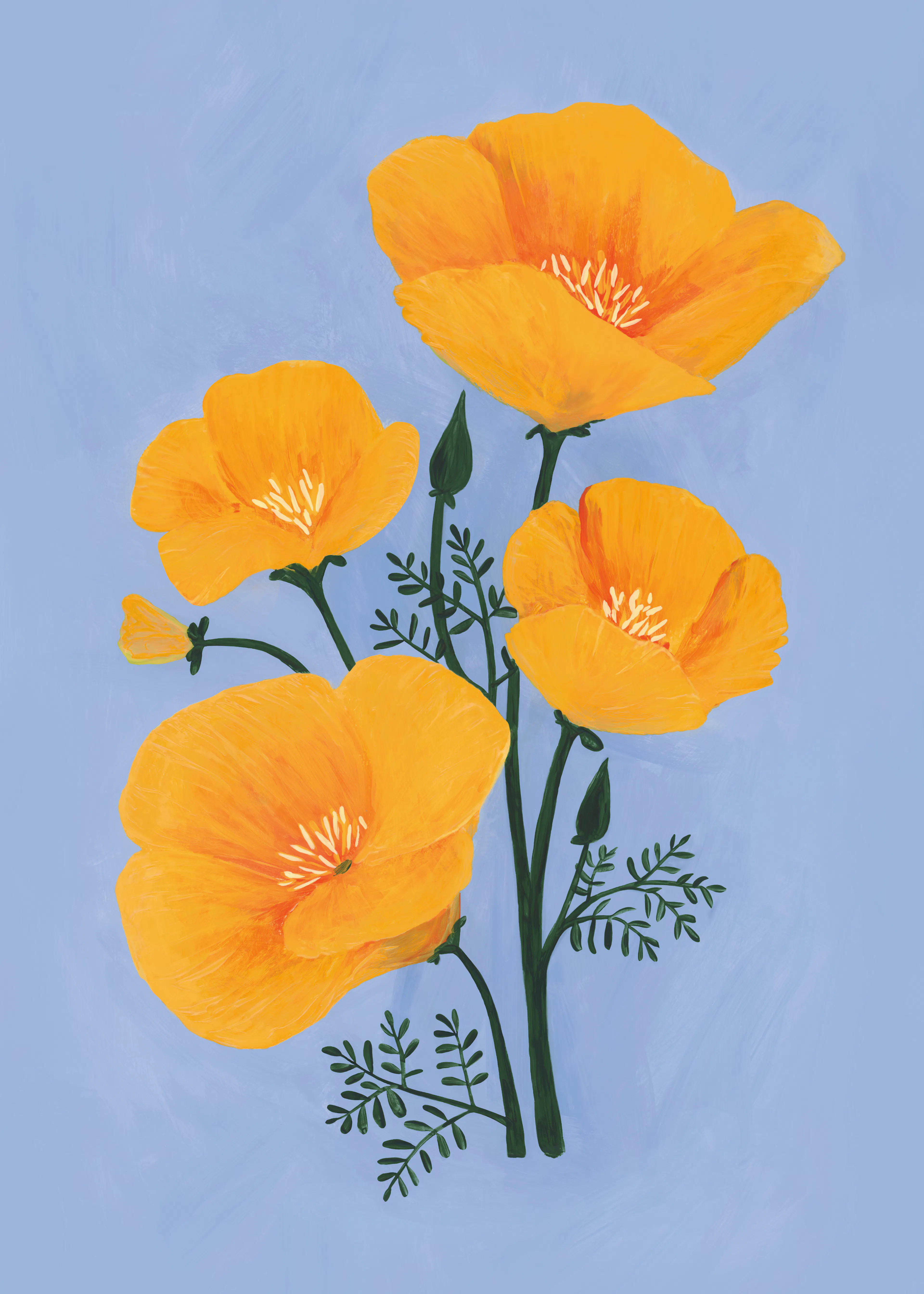 Rosana Laiz Blursbyai - Golden Poppies on Blue Print 0