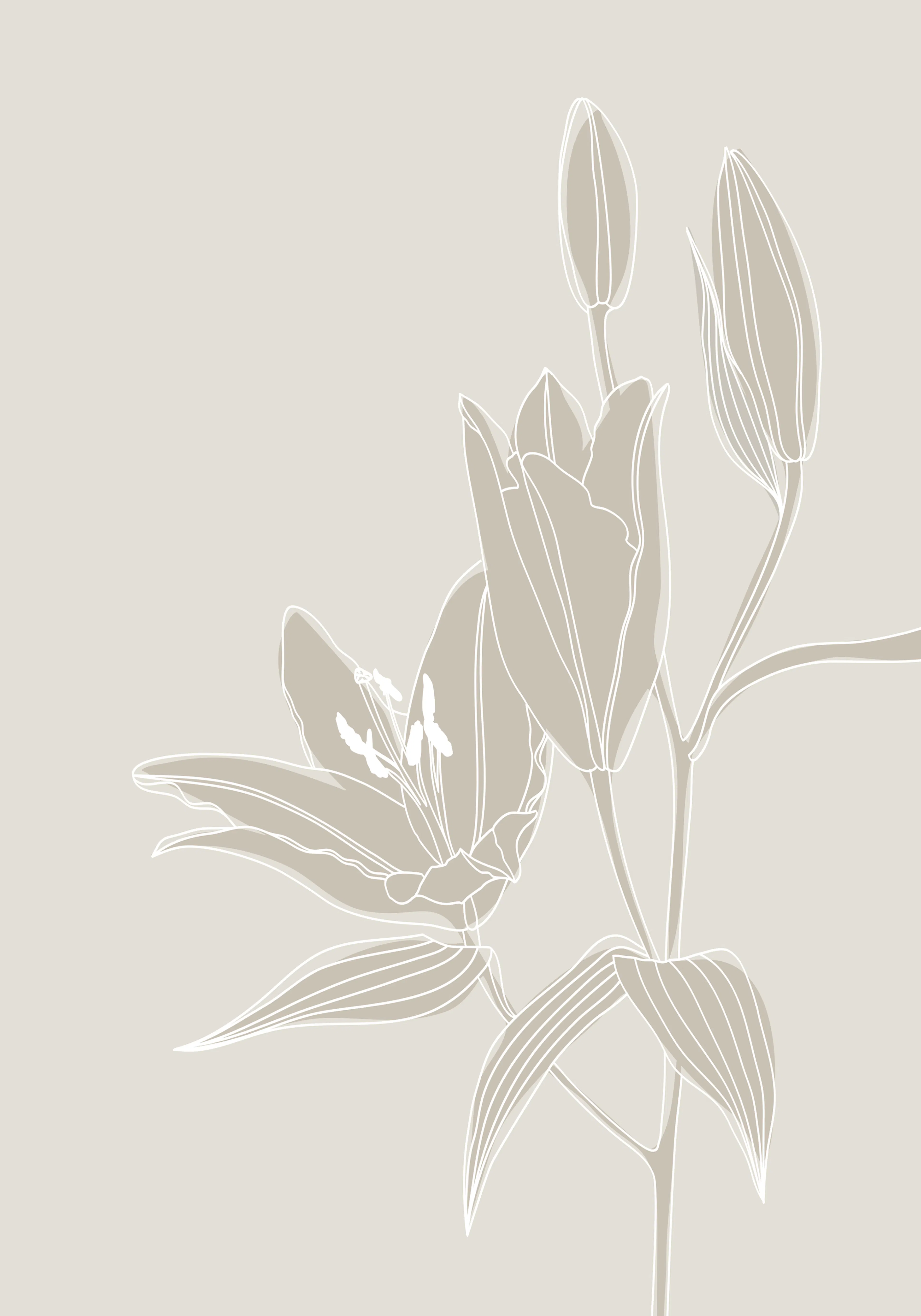 Product image: 1