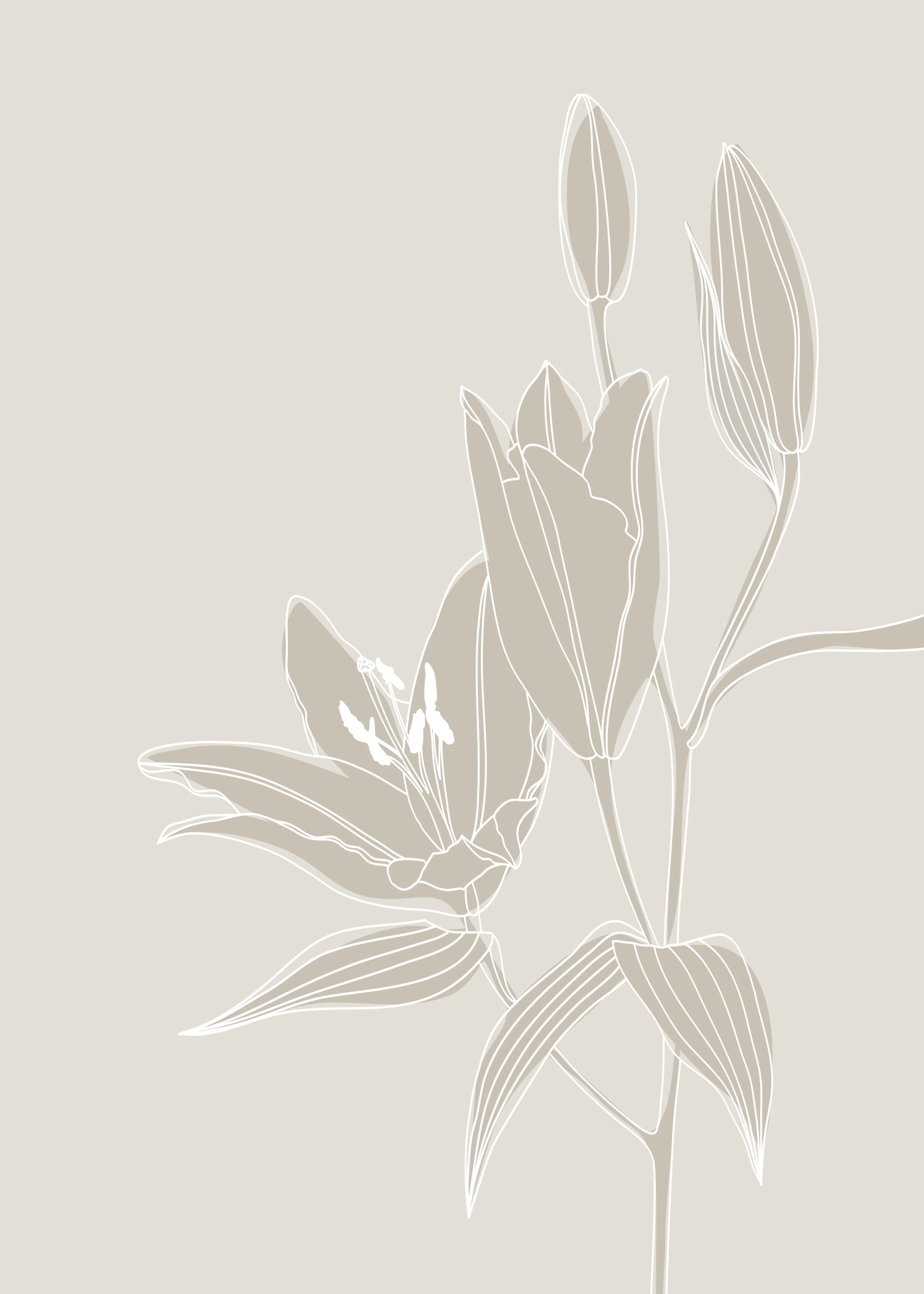 Rosana Laiz Blursbyai - Delicate Lily Bloom Print 0