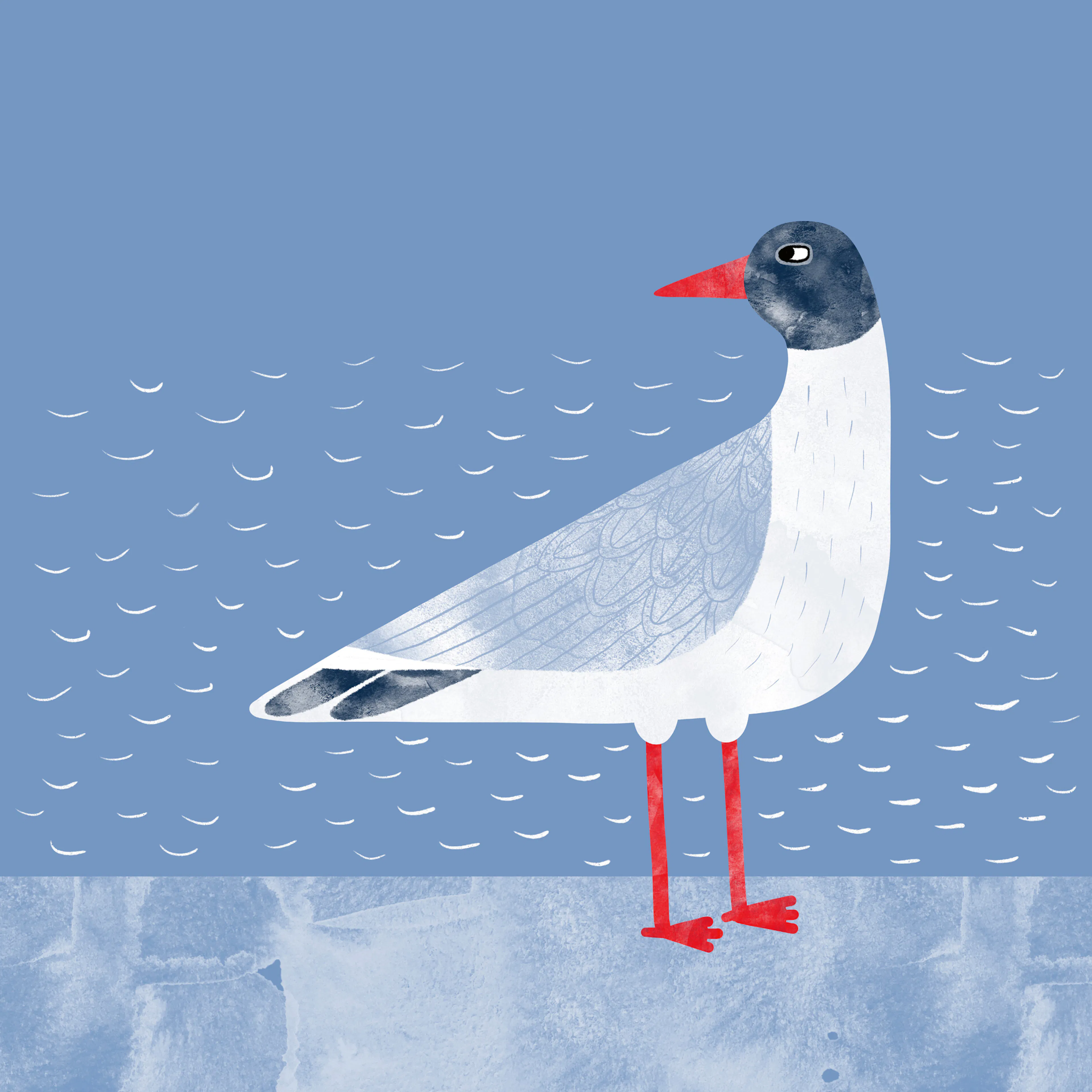 Nic Squirrell - Mouette Bleue Calme Poster 0