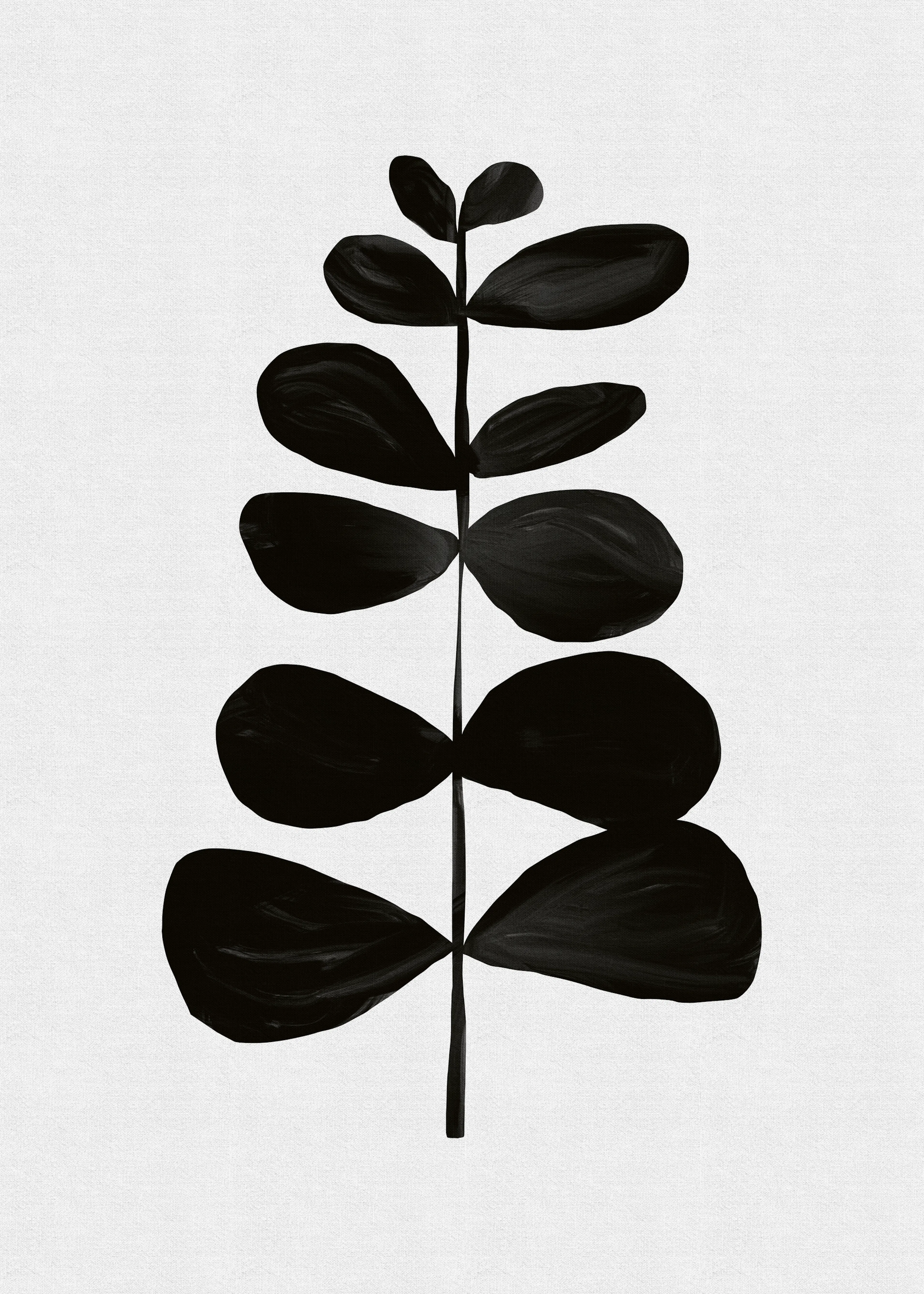 Orara Studio - Minimalist Black Plant Print 0