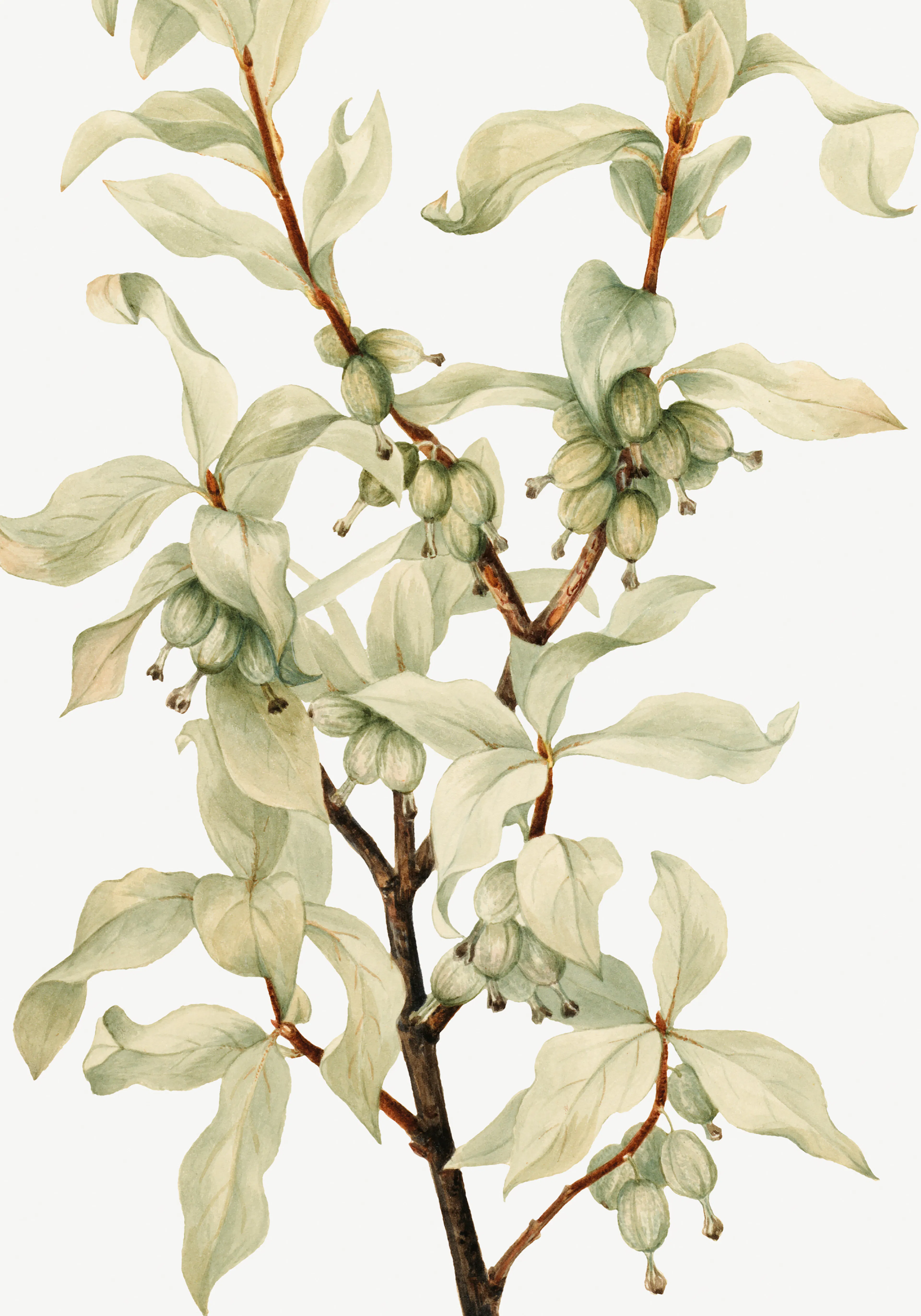 Product image: 1