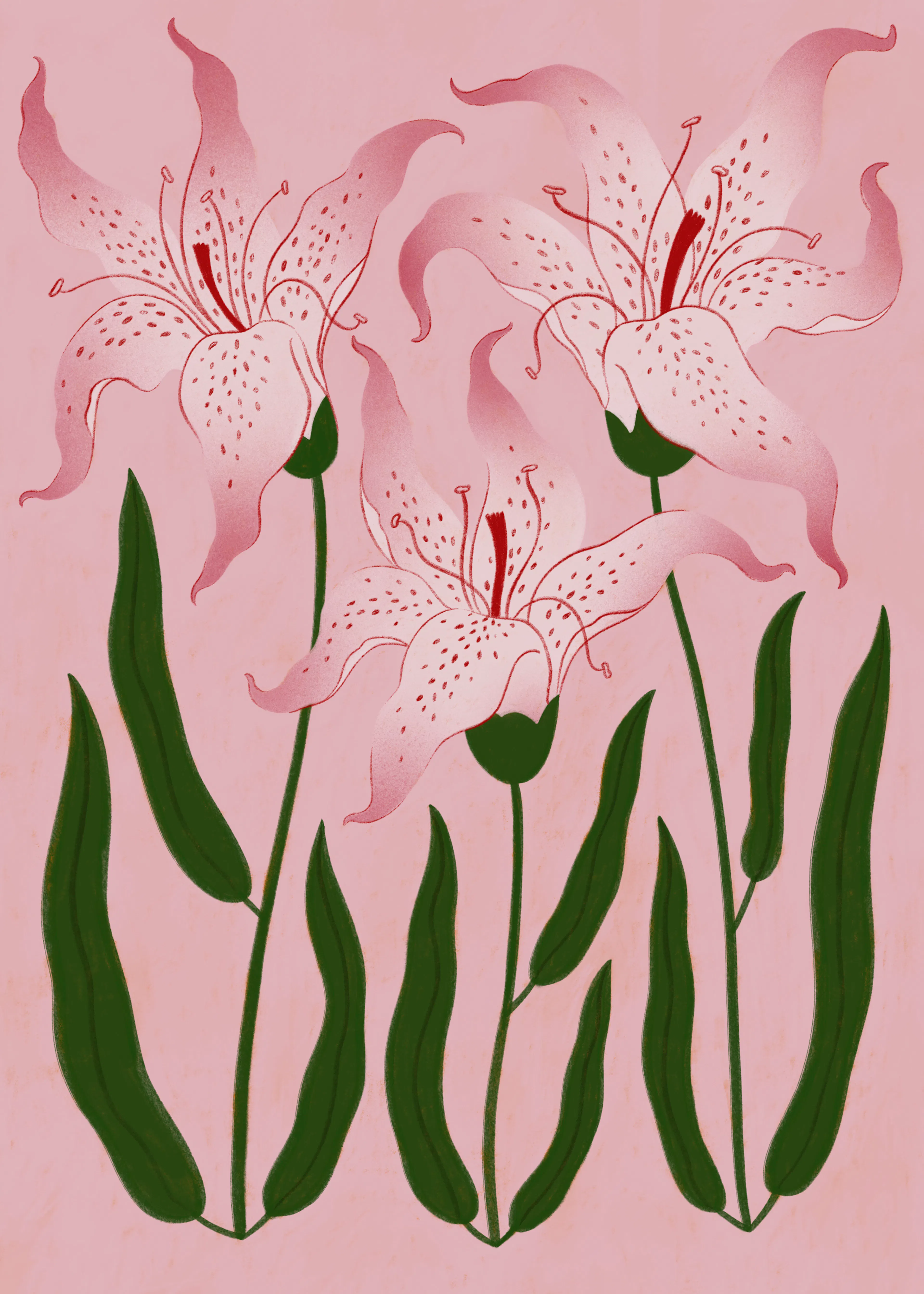 Ida Alvarsson - Botanical Pink Lilies Print 0