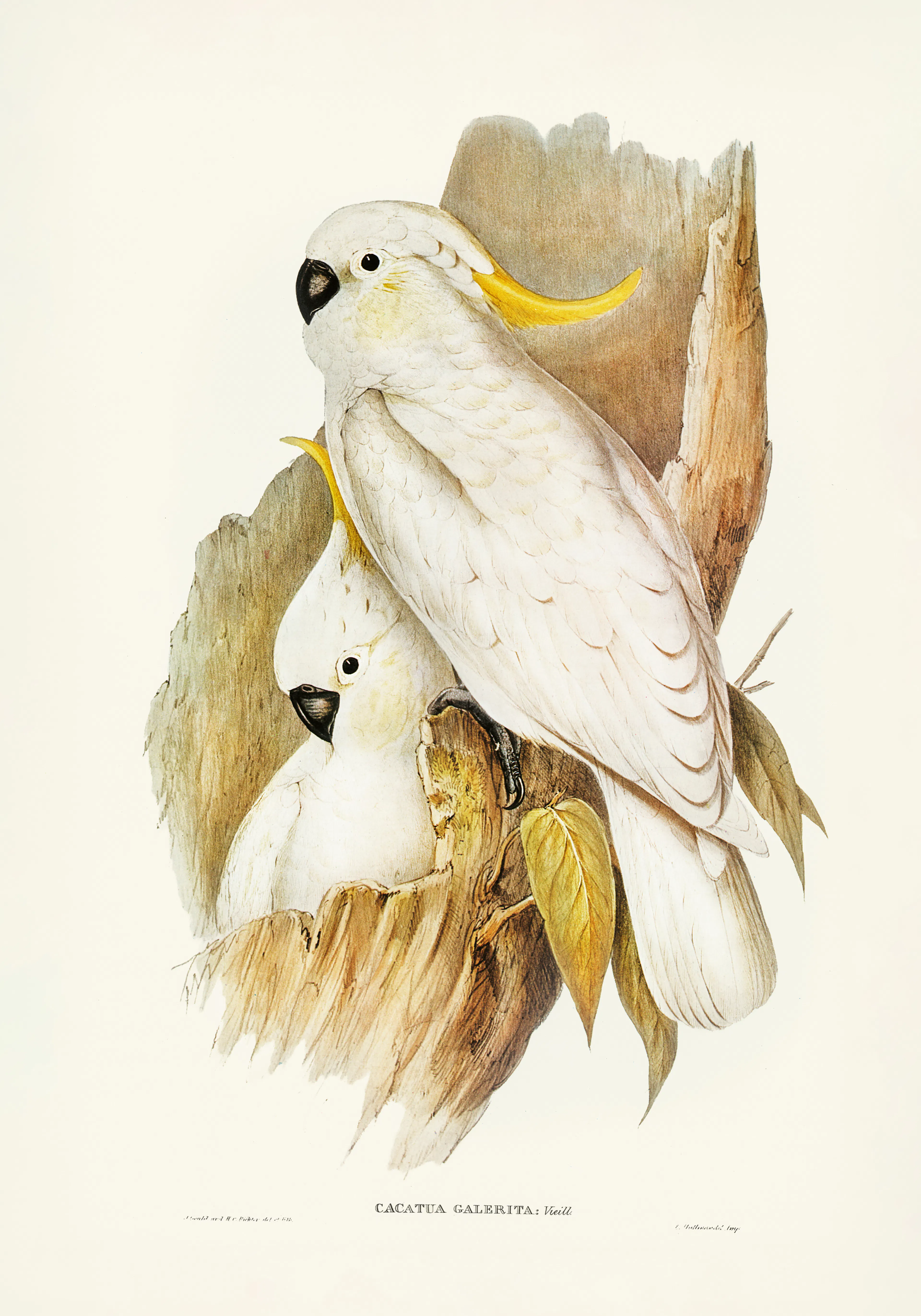Product image: 1