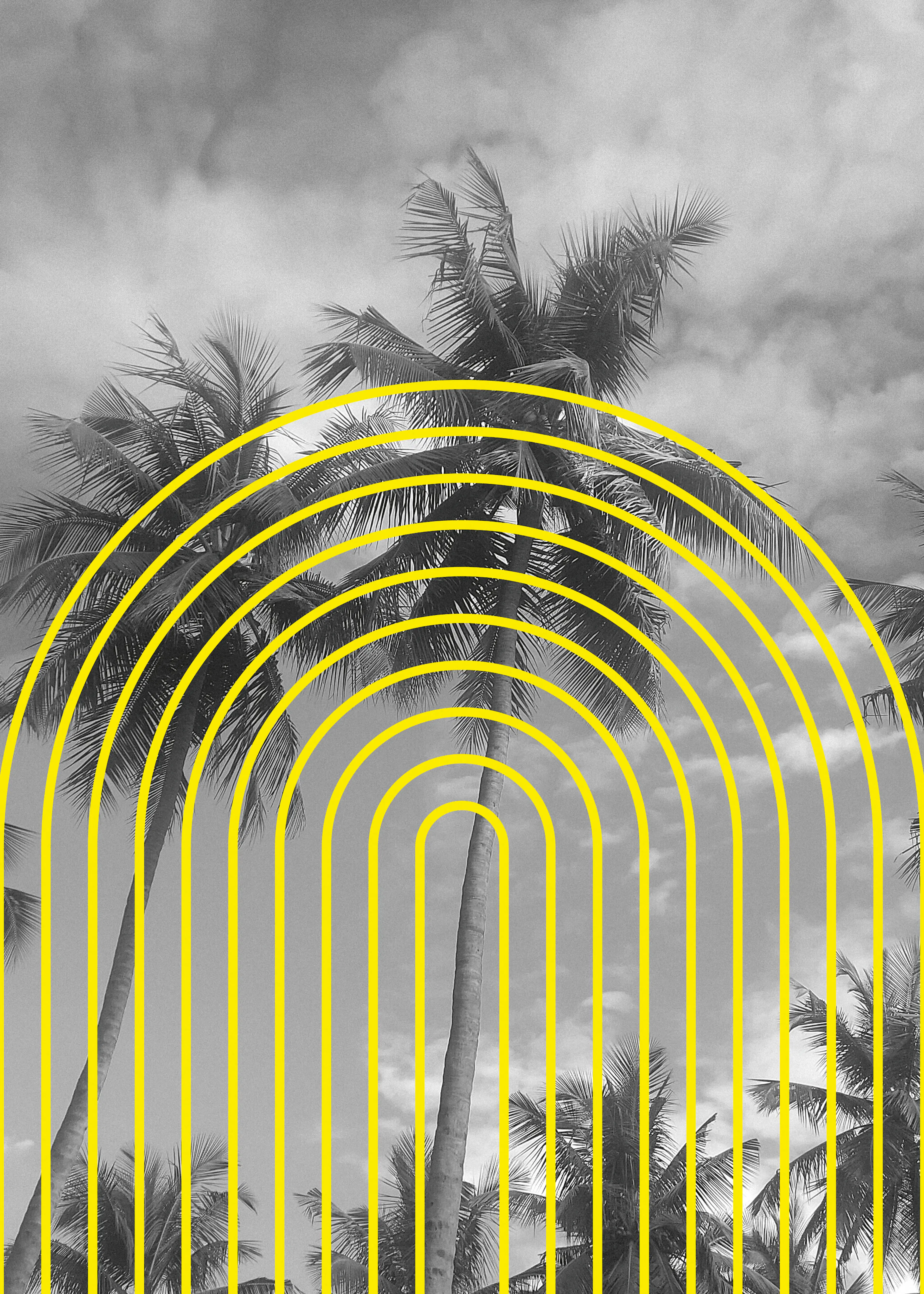 Athene Fritsch - Tropical Echoes Print 0
