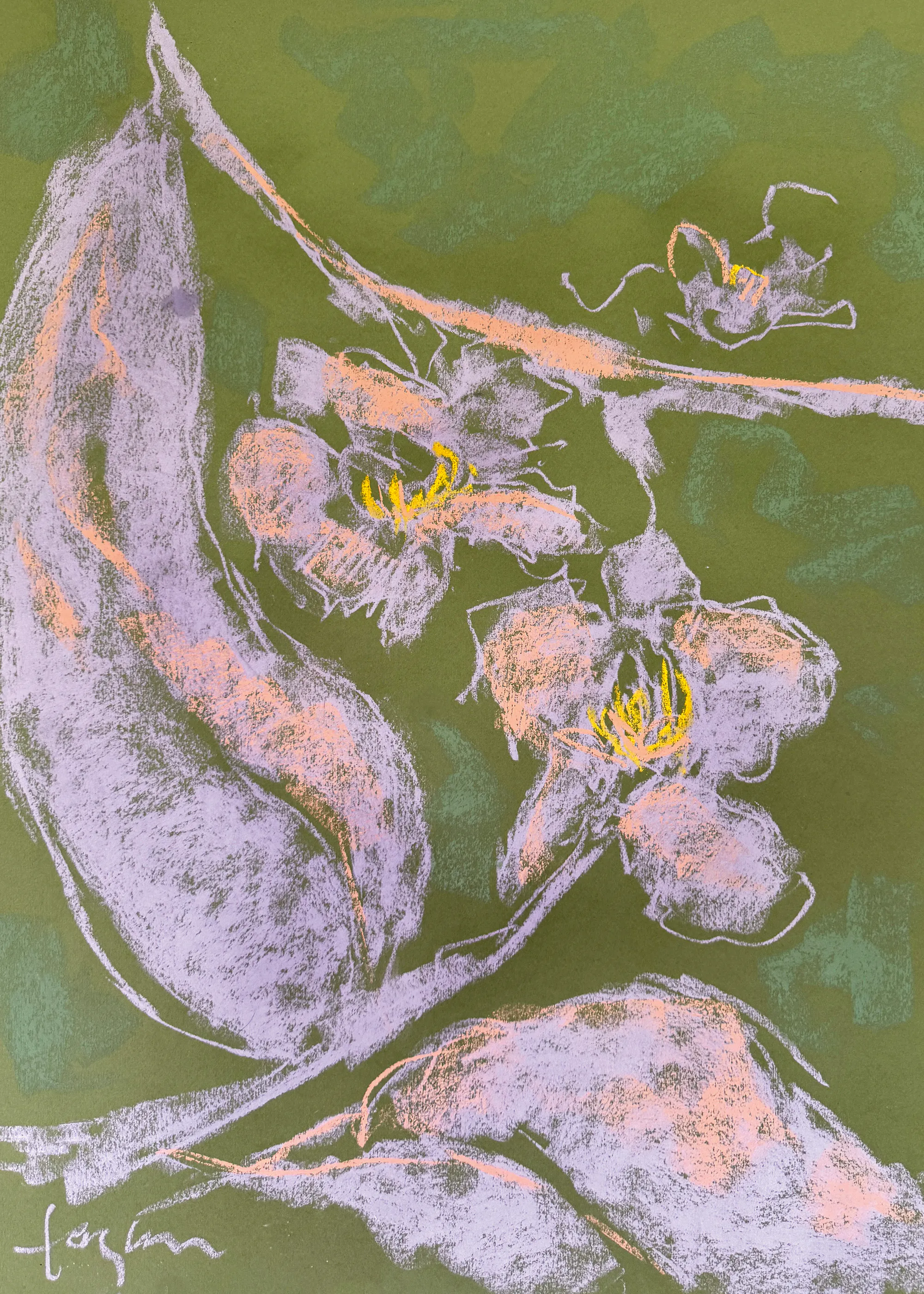Dorothy Fagan - Orchid Sisters III Poster 0