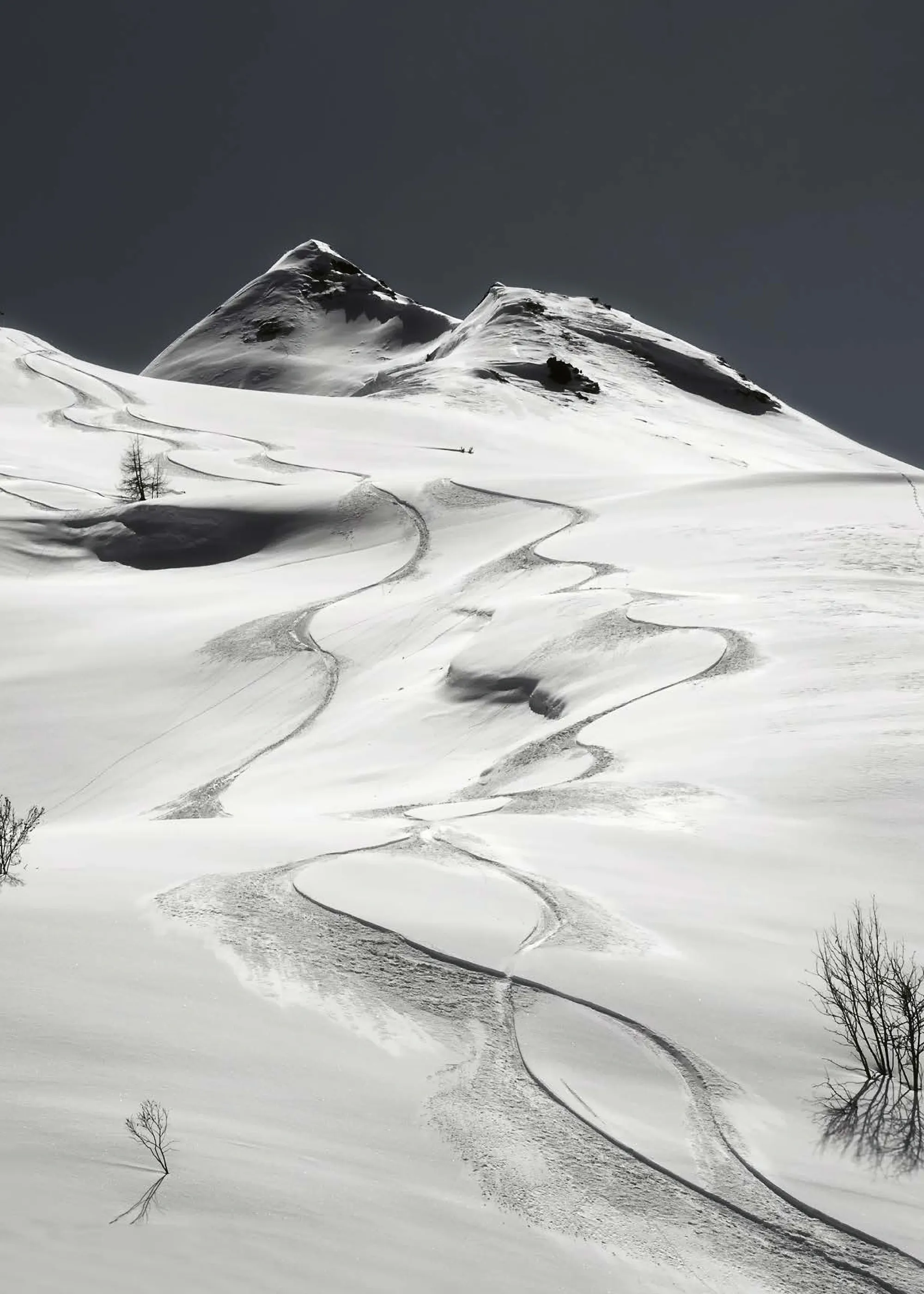 Uschi Hermann - Backcountry Ski Tracks Poster 0