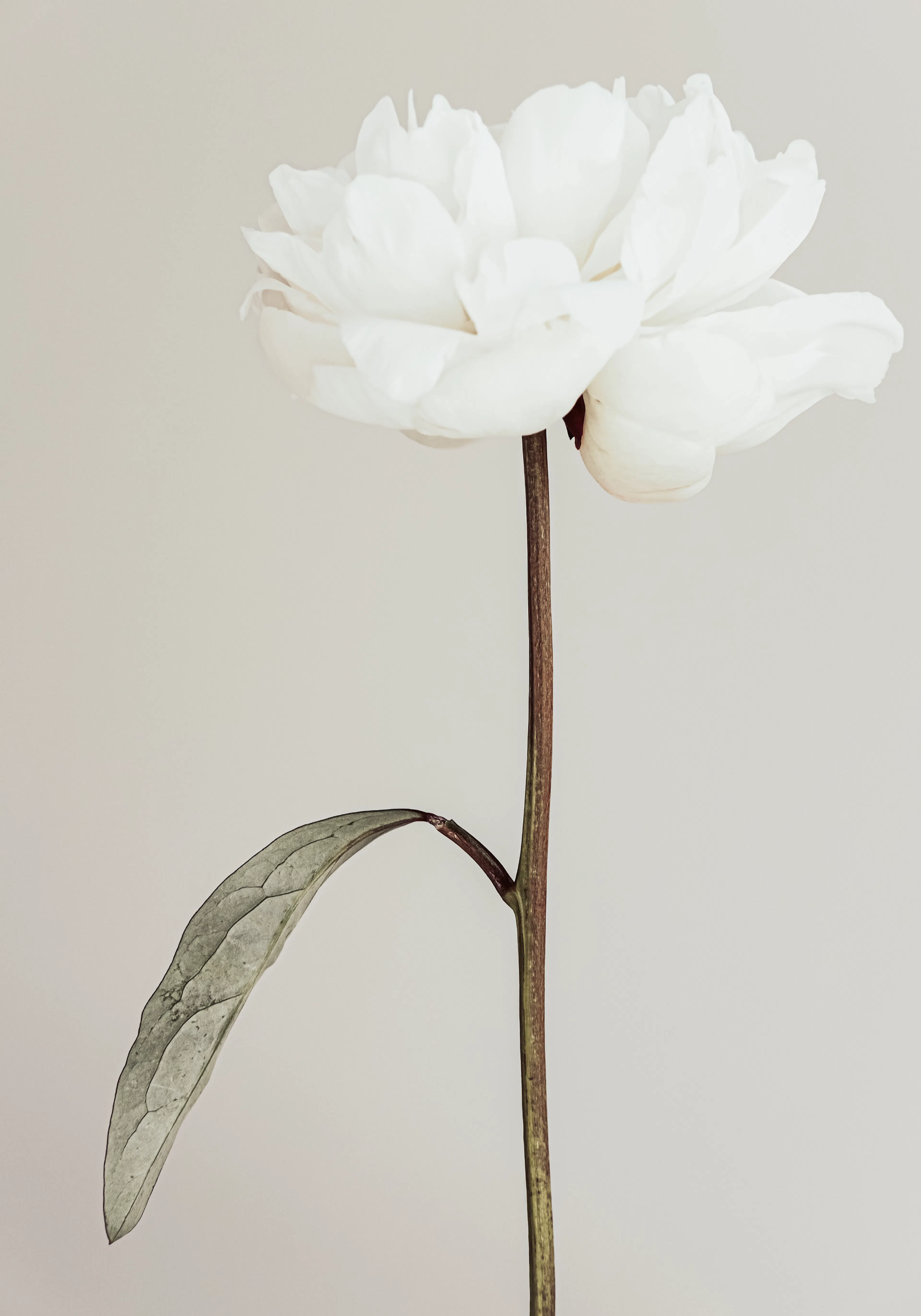 Product image: 1