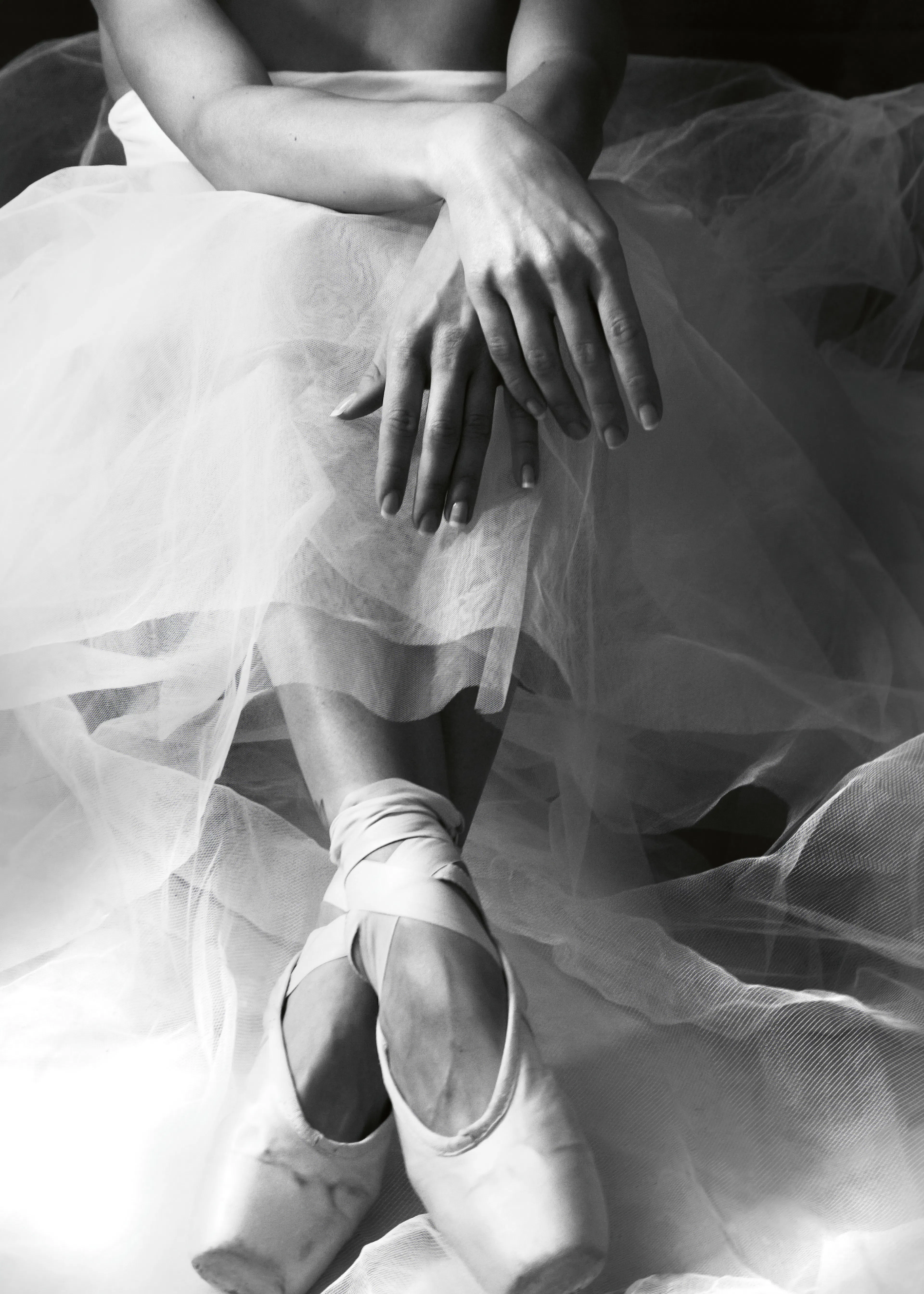 Roberta Nozza - Graceful Ballerina Poster 0