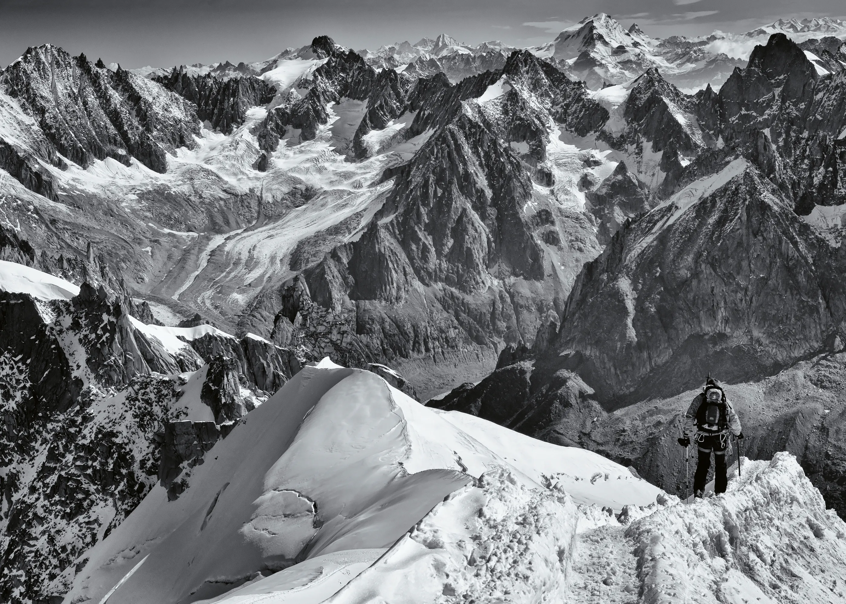 mihai ian nedelcu - Alpine Summit View Poster 0