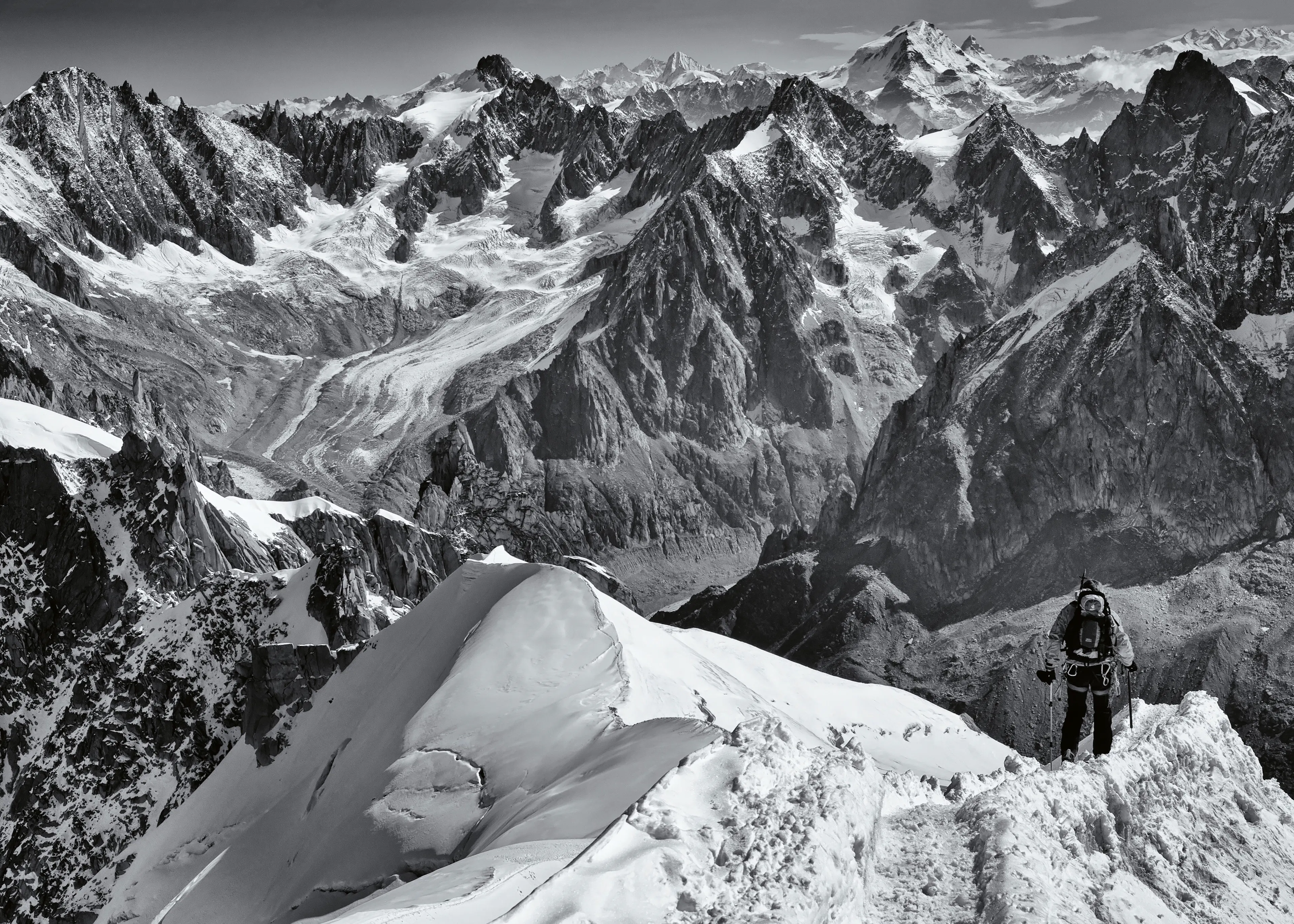 mihai ian nedelcu - Alpine Summit View Poster 0