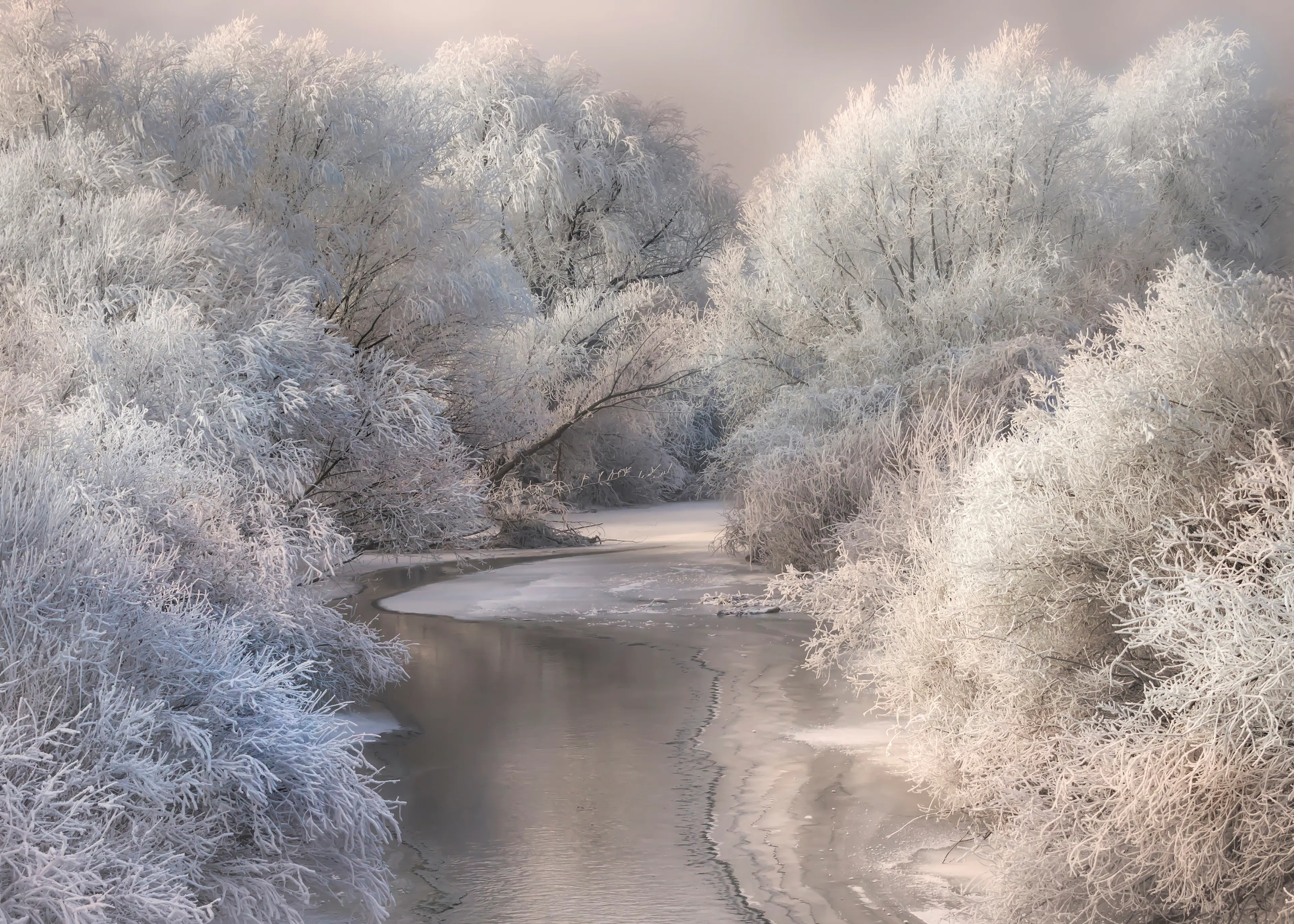 Sebestyen Bela - Serene Winter River Poster 0
