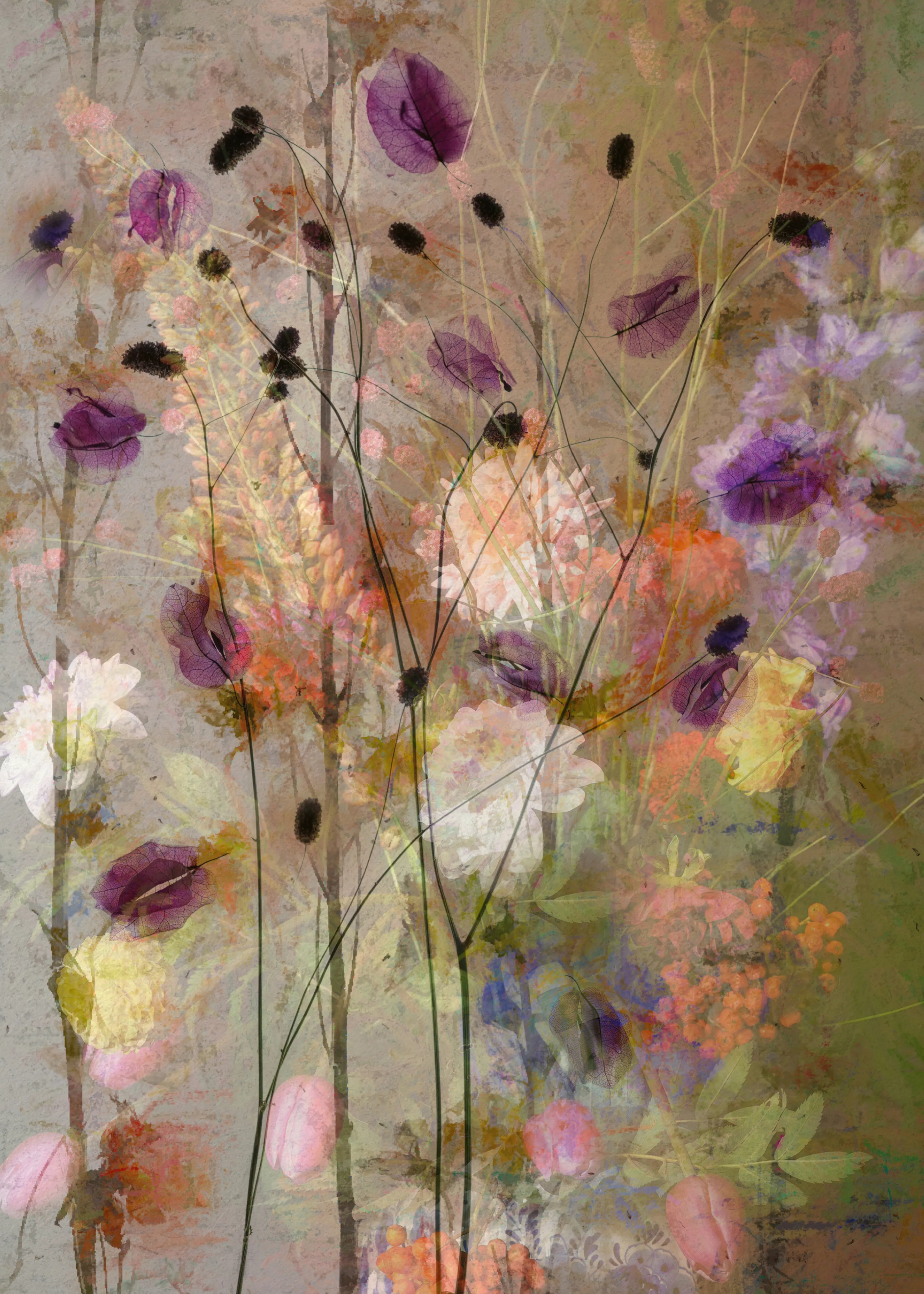 Saskia Dingemans - Dreamy Floral Garden Poster 0