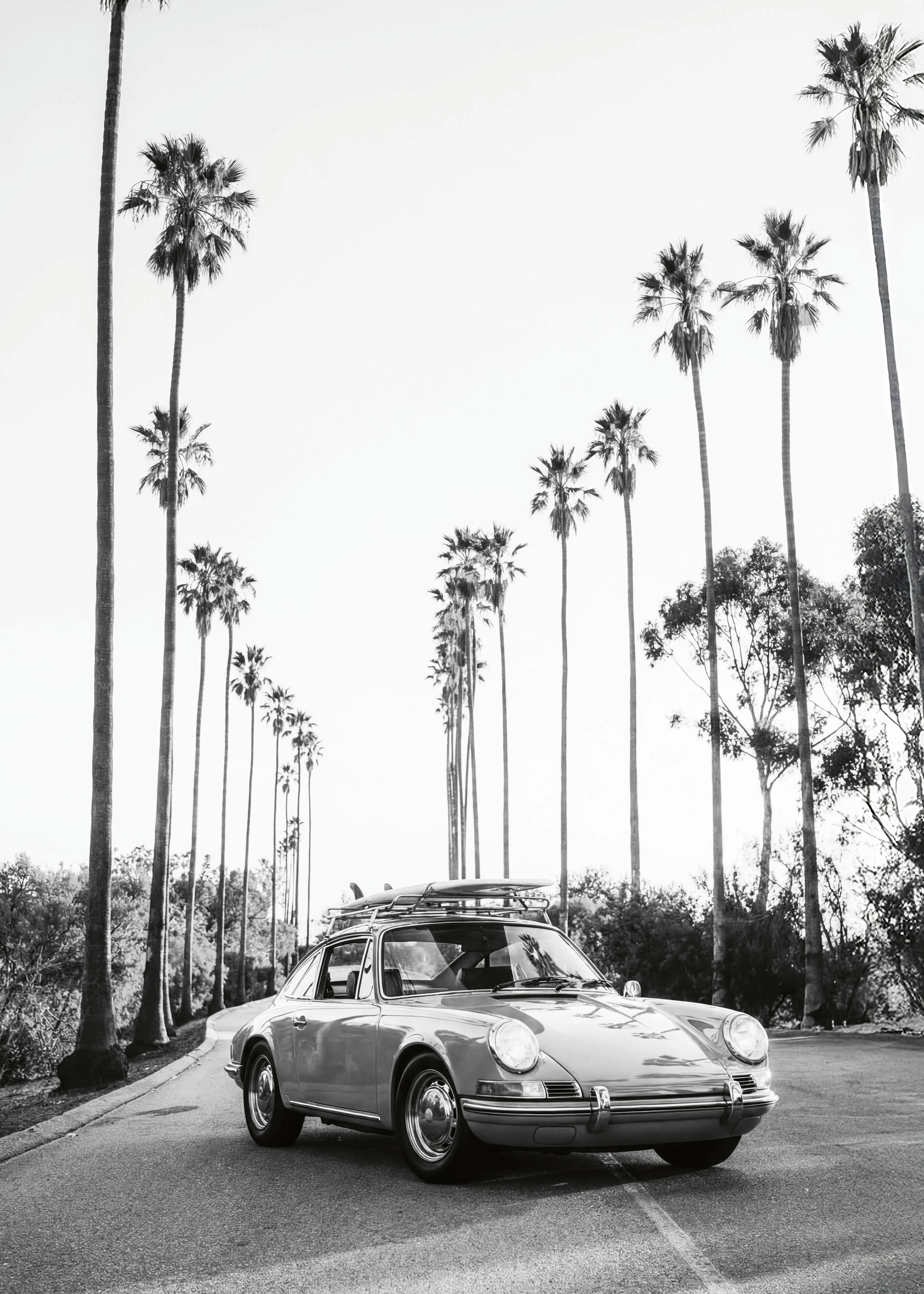 Kathrin Pienaar - Posh In California Plakat 0