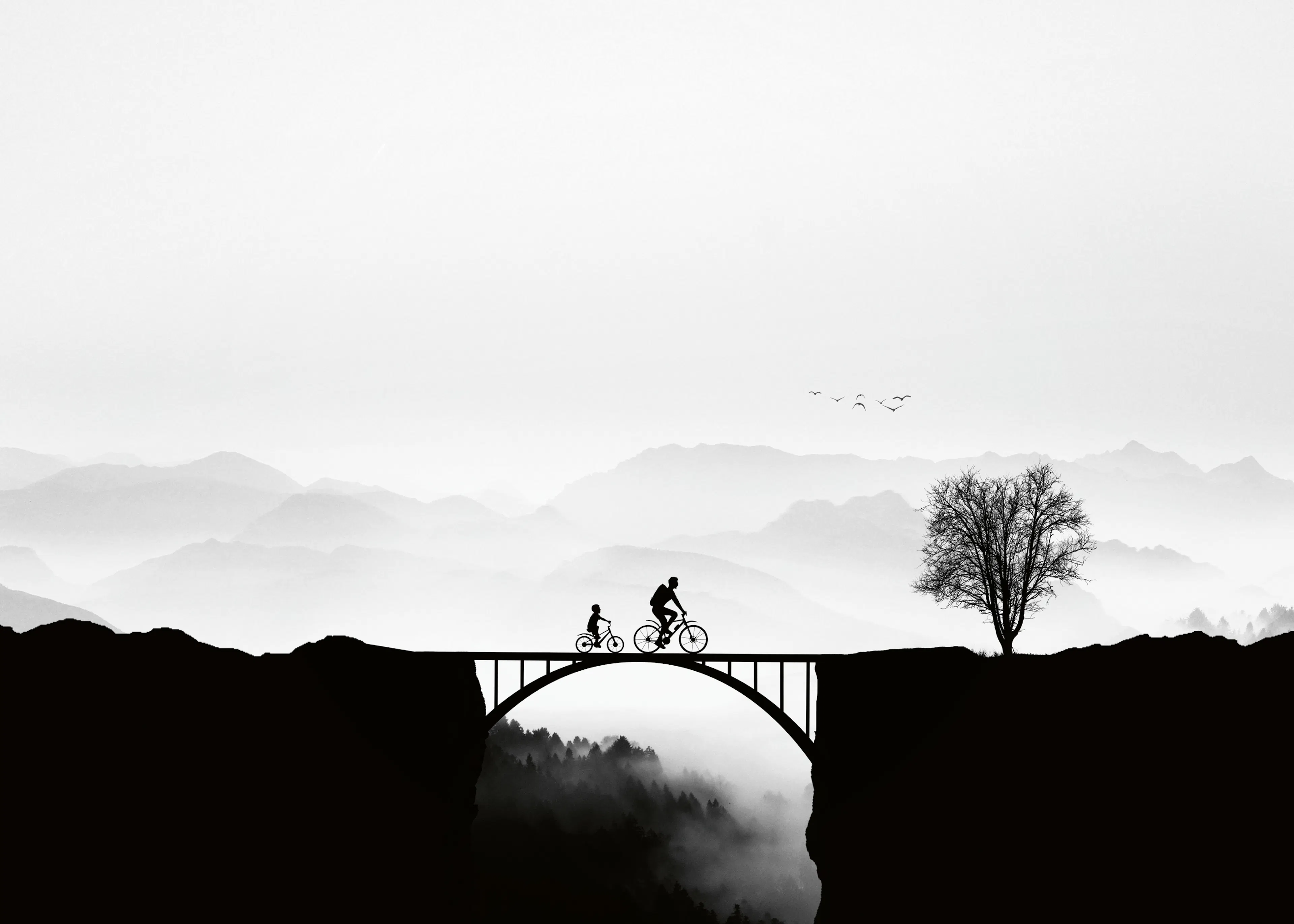 Bess Hamiti - Rowerzyści na mglistym moście Plakat 0