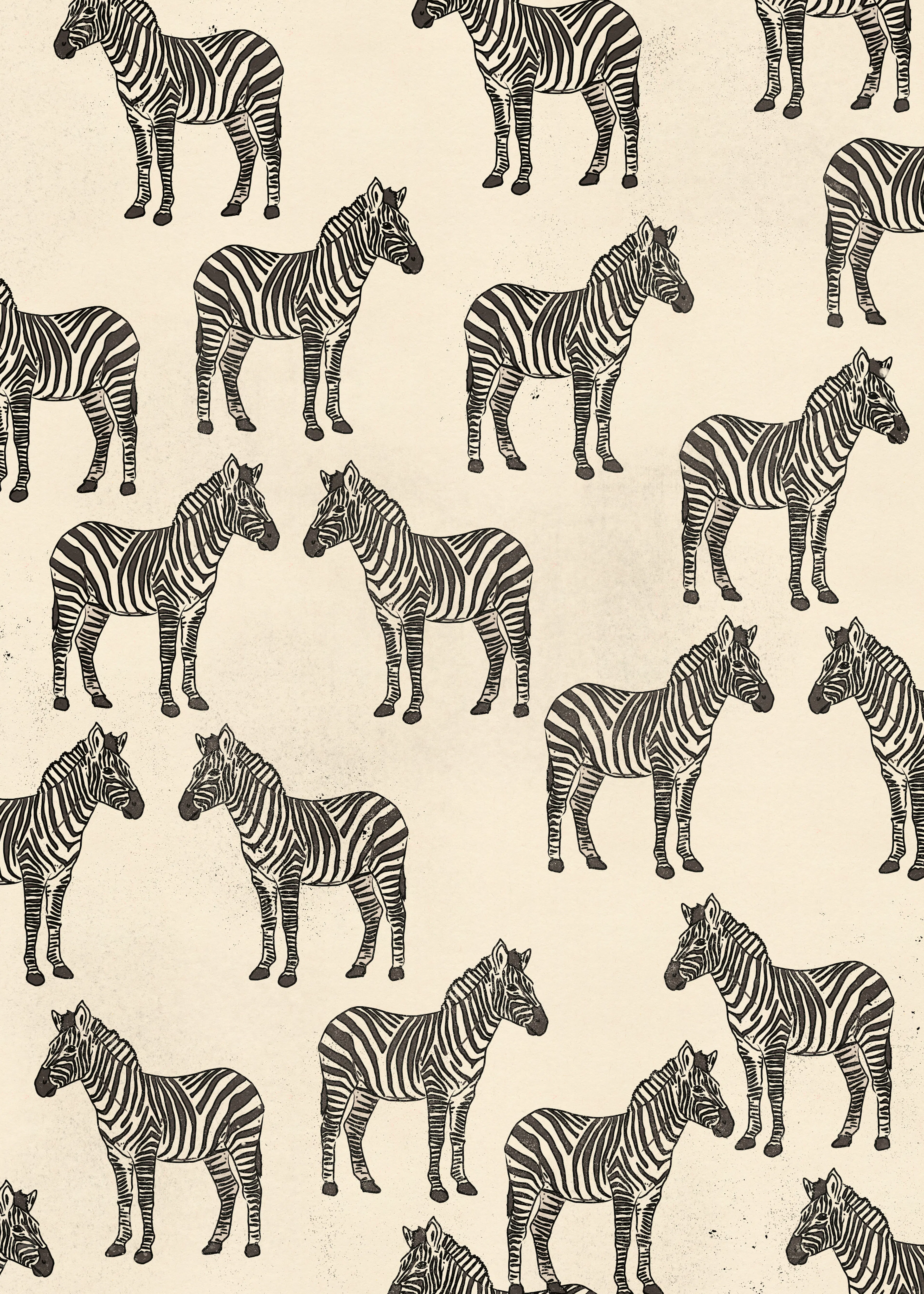 Nicholas - Zebraherde Muster Poster 0