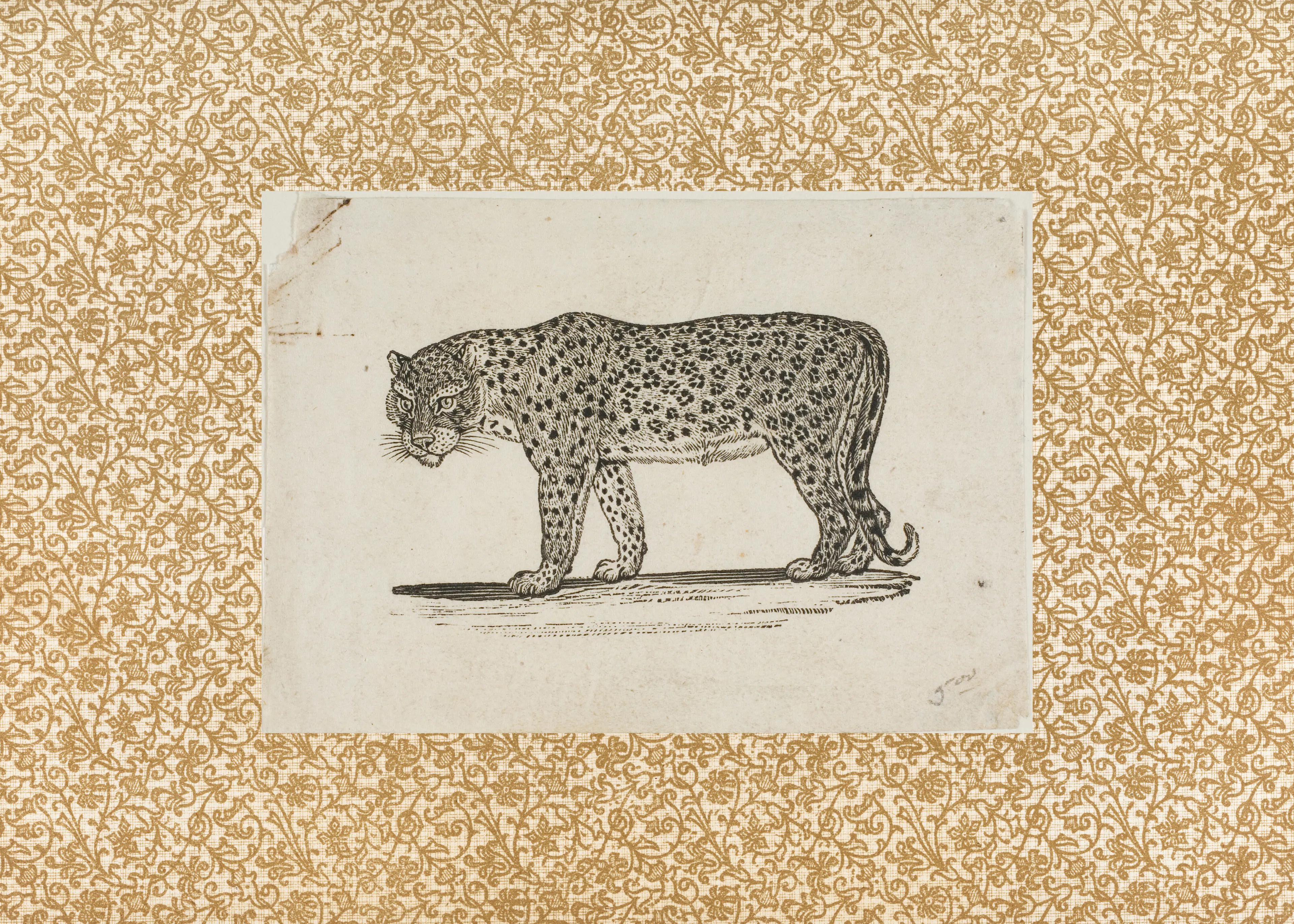 The Art Concept - Vintage Leopard Sketch Poster 0