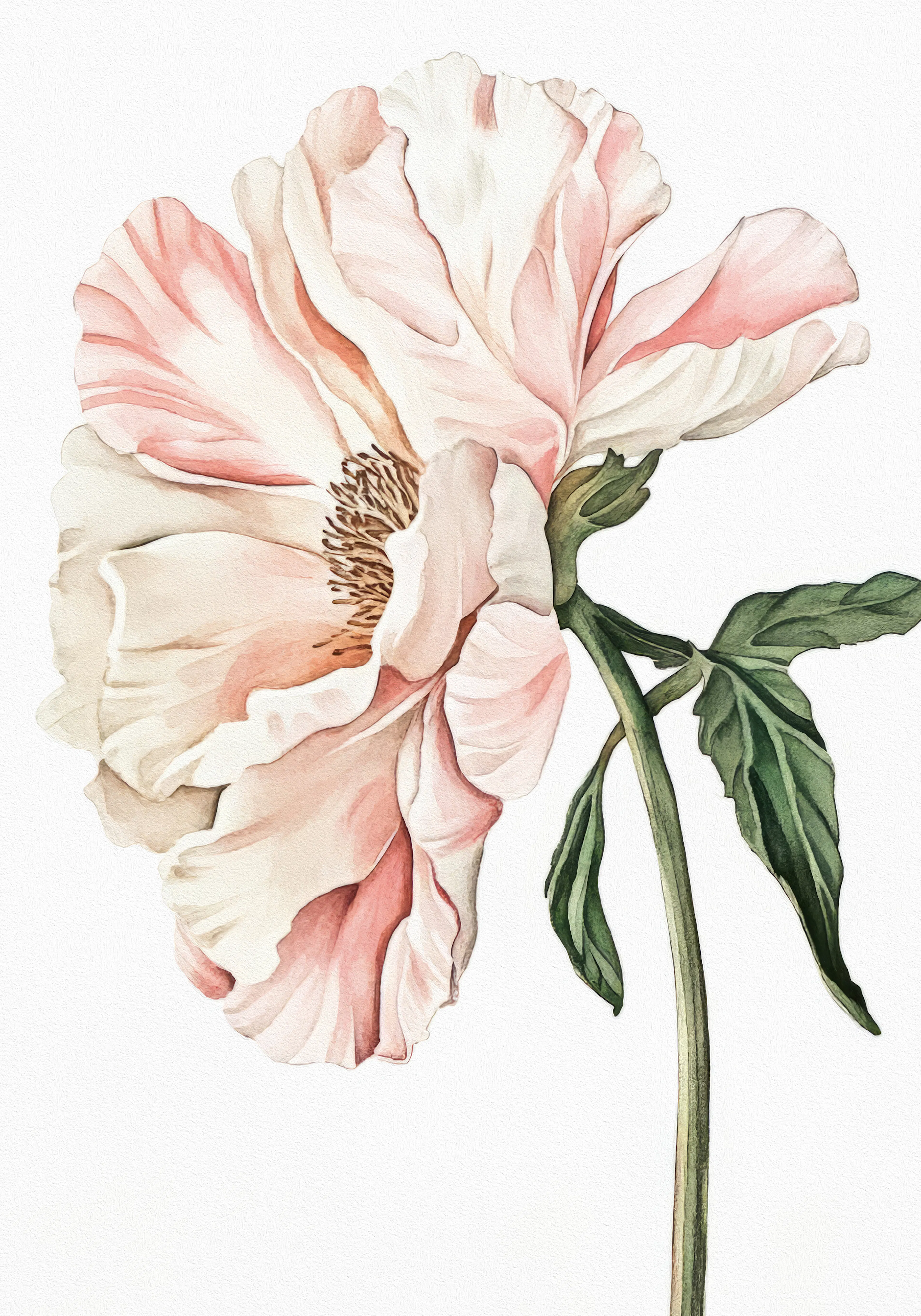 Product image: 1