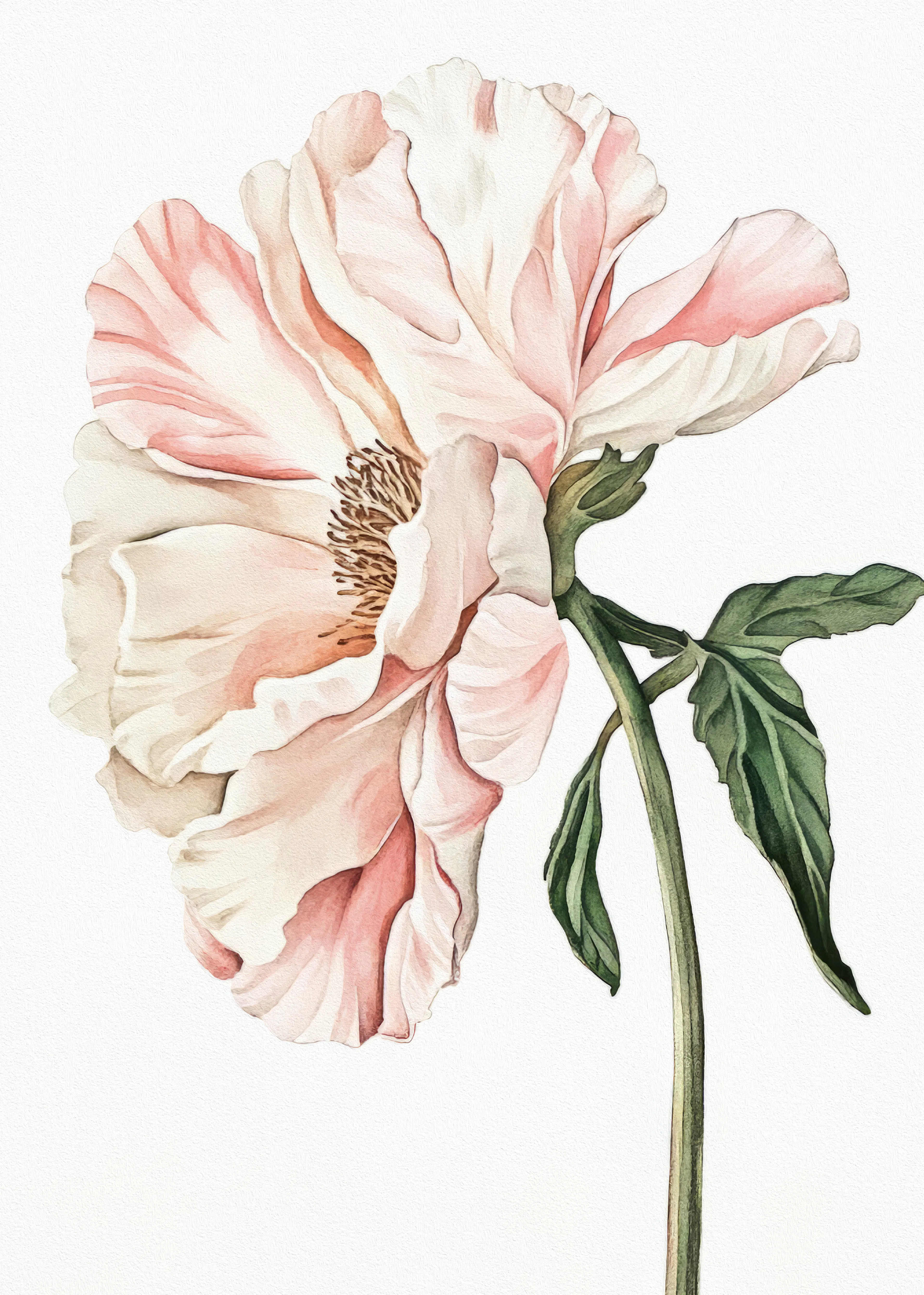 Bilge Paksoylu - Delicate Pink Flower Poster 0