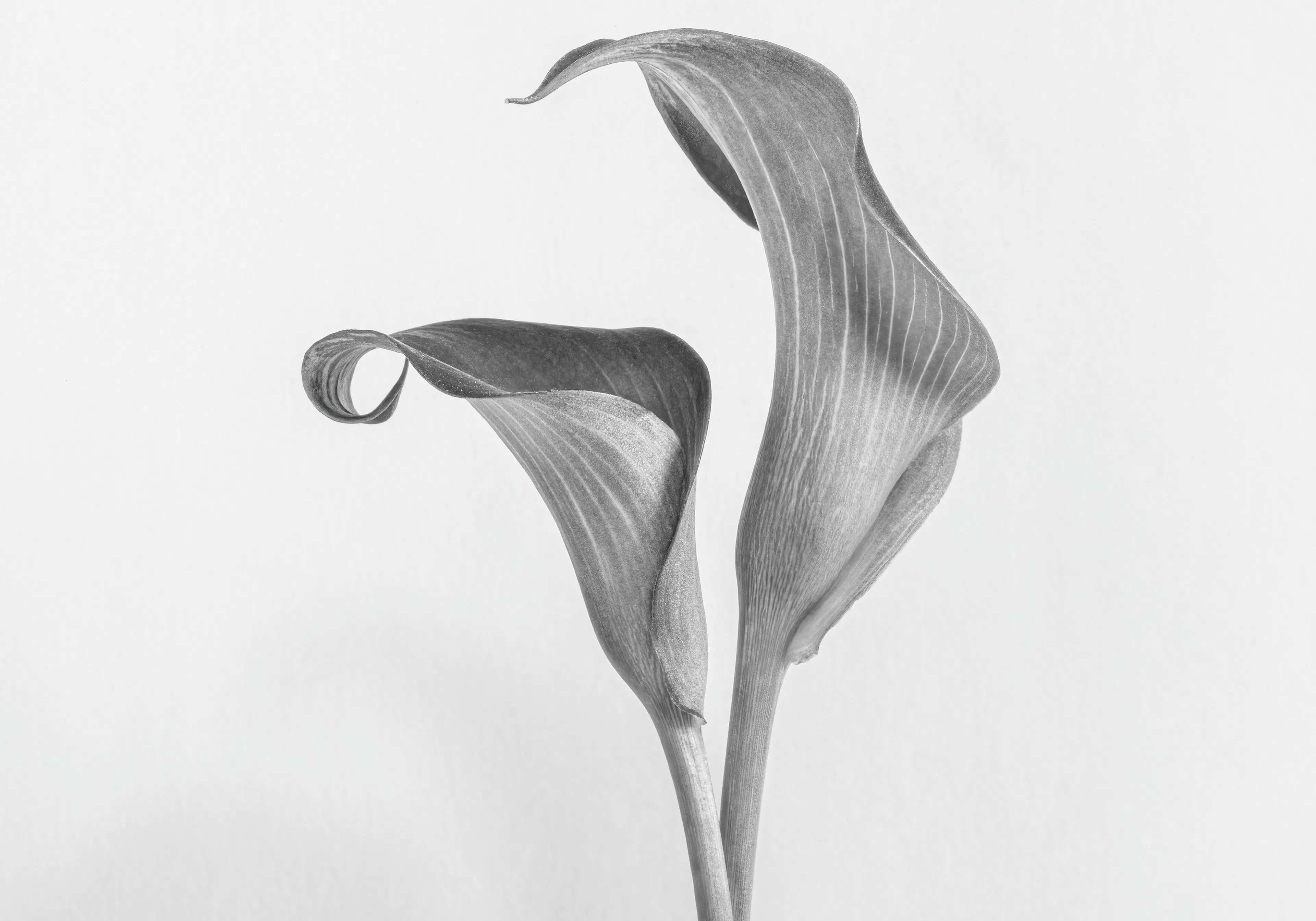 Product image: 1