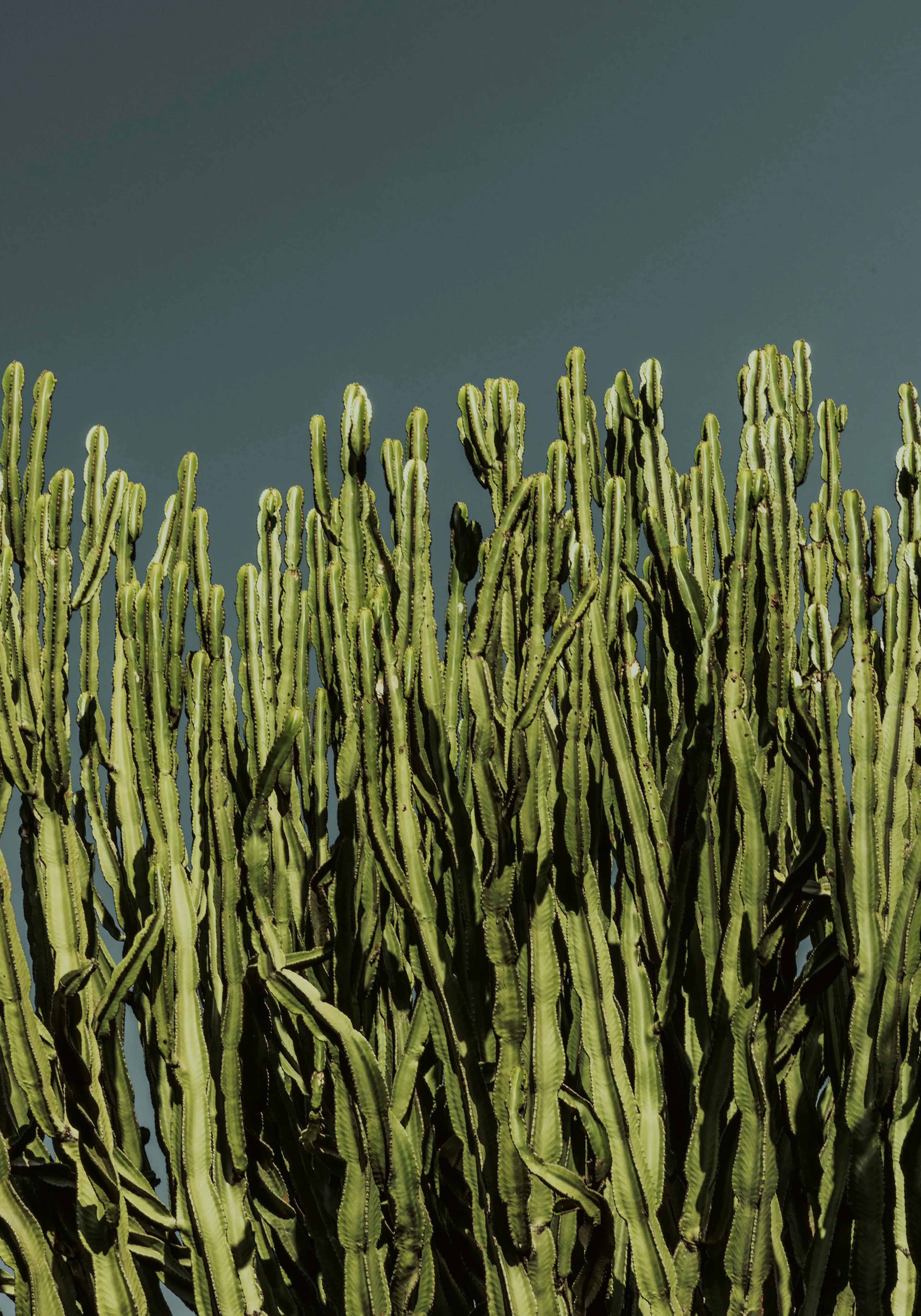 Product image: 1