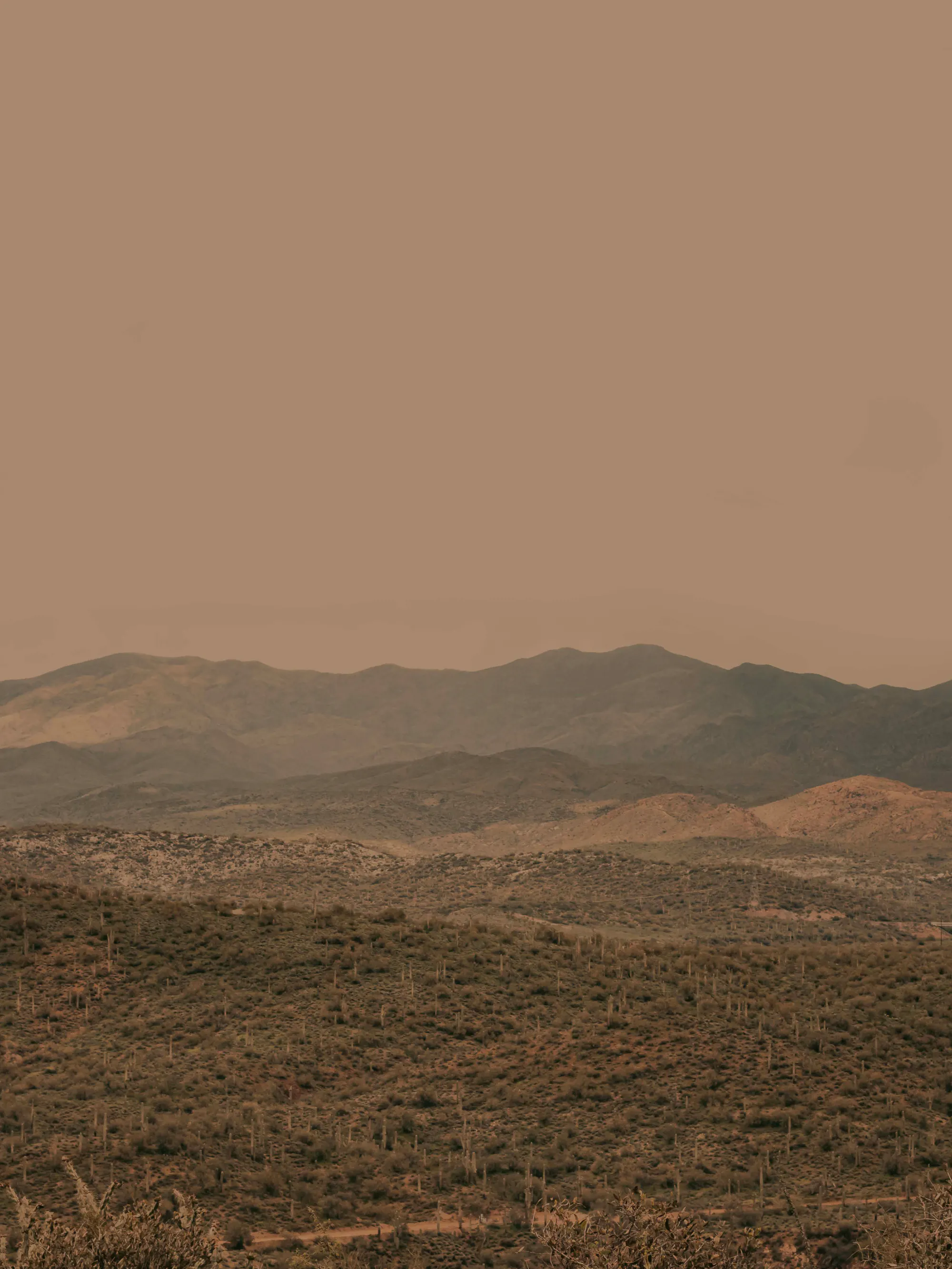 Stephanie Klatt - Horizon de Montagne Aride Poster 0