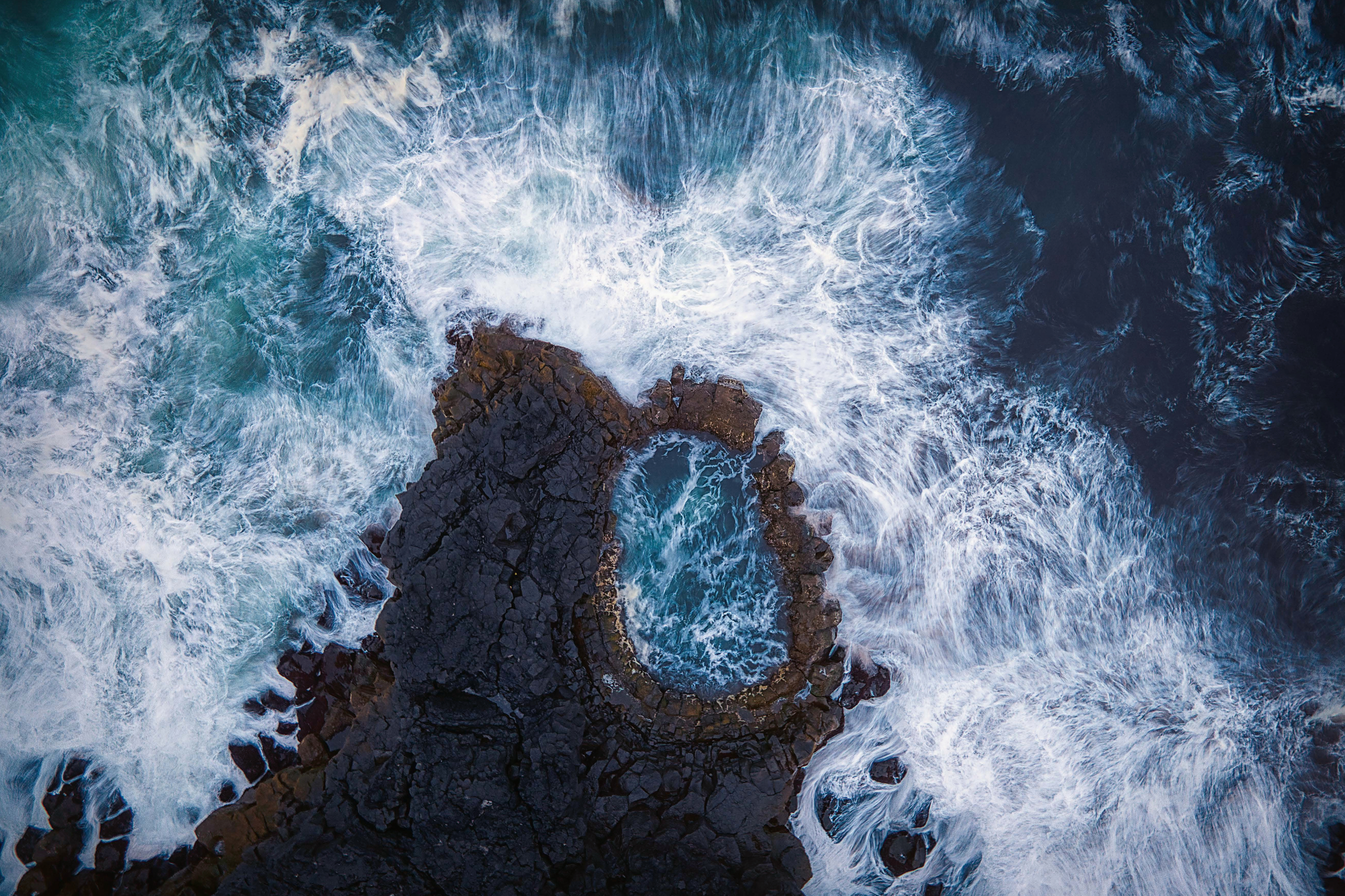 Judith Kuhn - Wild Ocean Tide Pool Poster