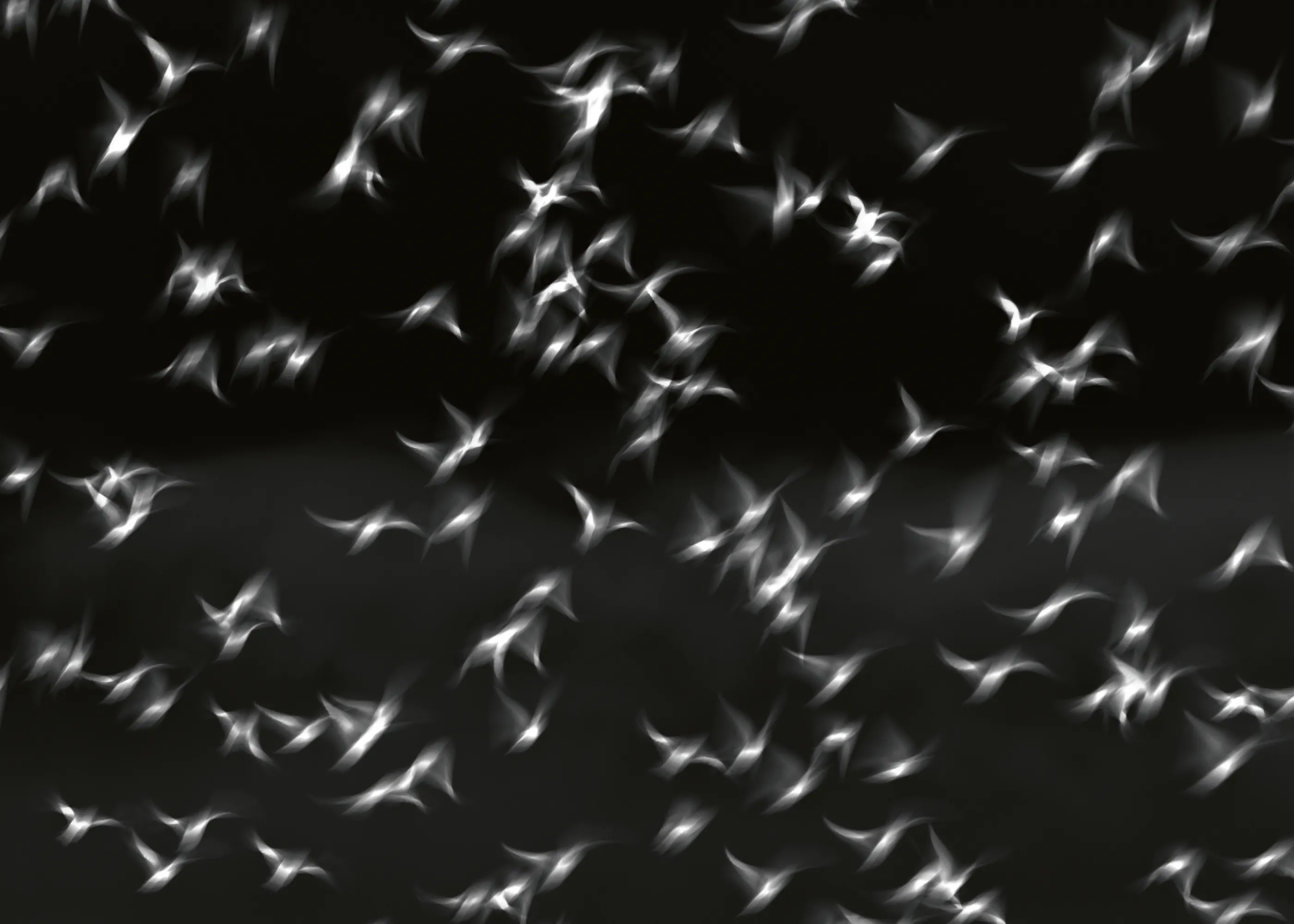 Anne Ponsen - Formes lumineuses flottantes Poster 0