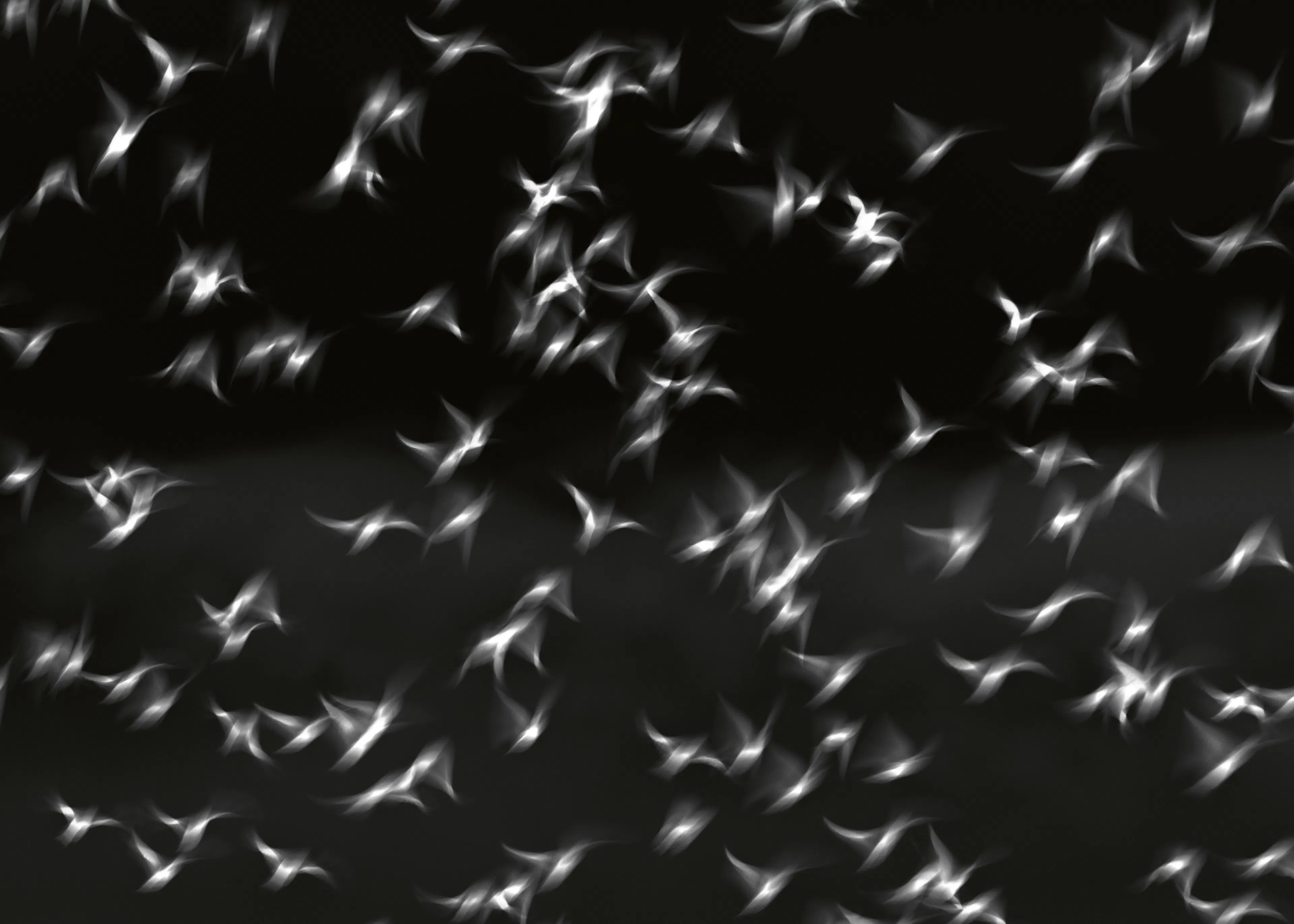 Anne Ponsen - Formes lumineuses flottantes Poster 0