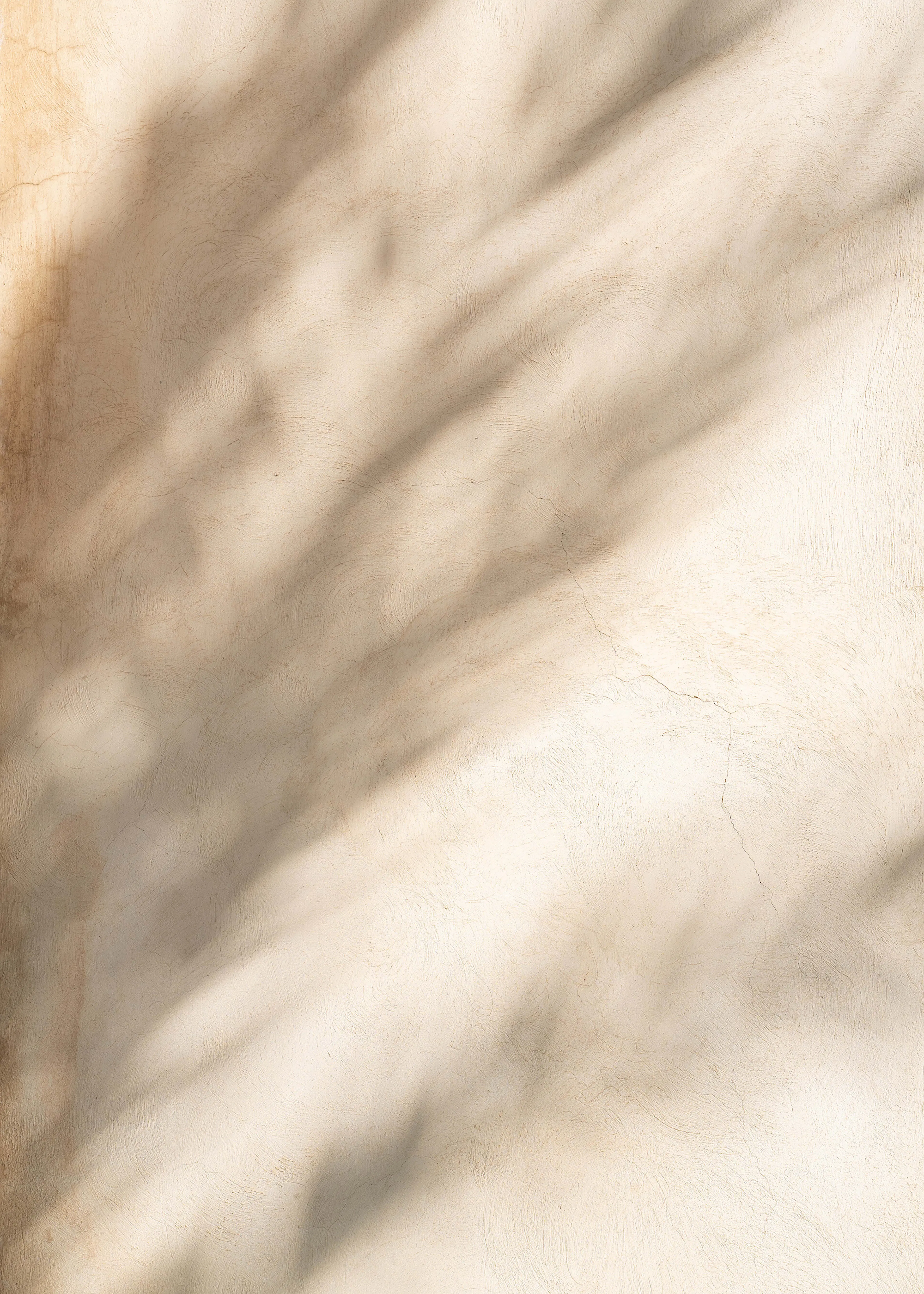 Henrike Schenk - Soft Palm Shadows Poster 0