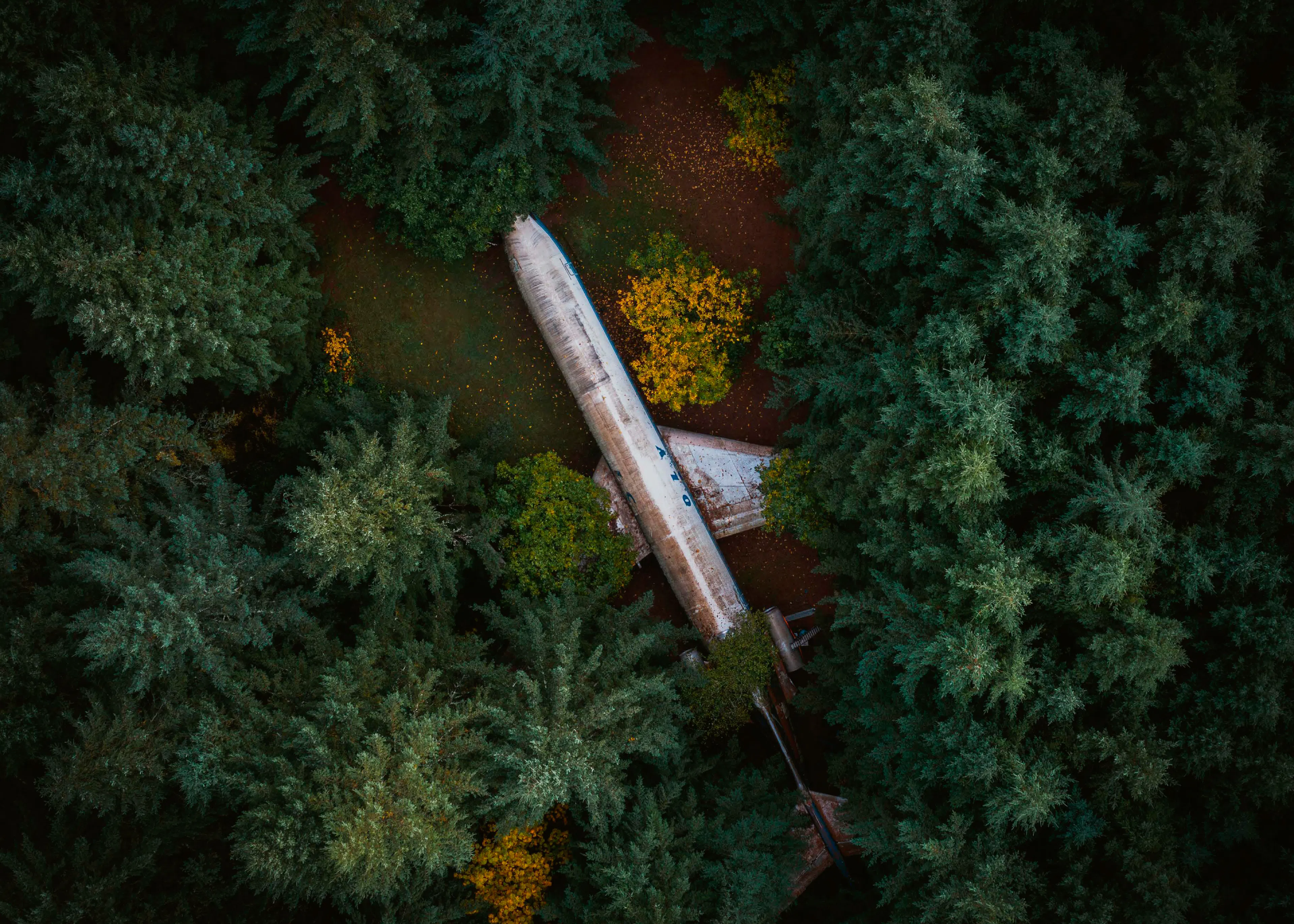 Junhao Wang - Abandoned Plane in Forest Poster 0