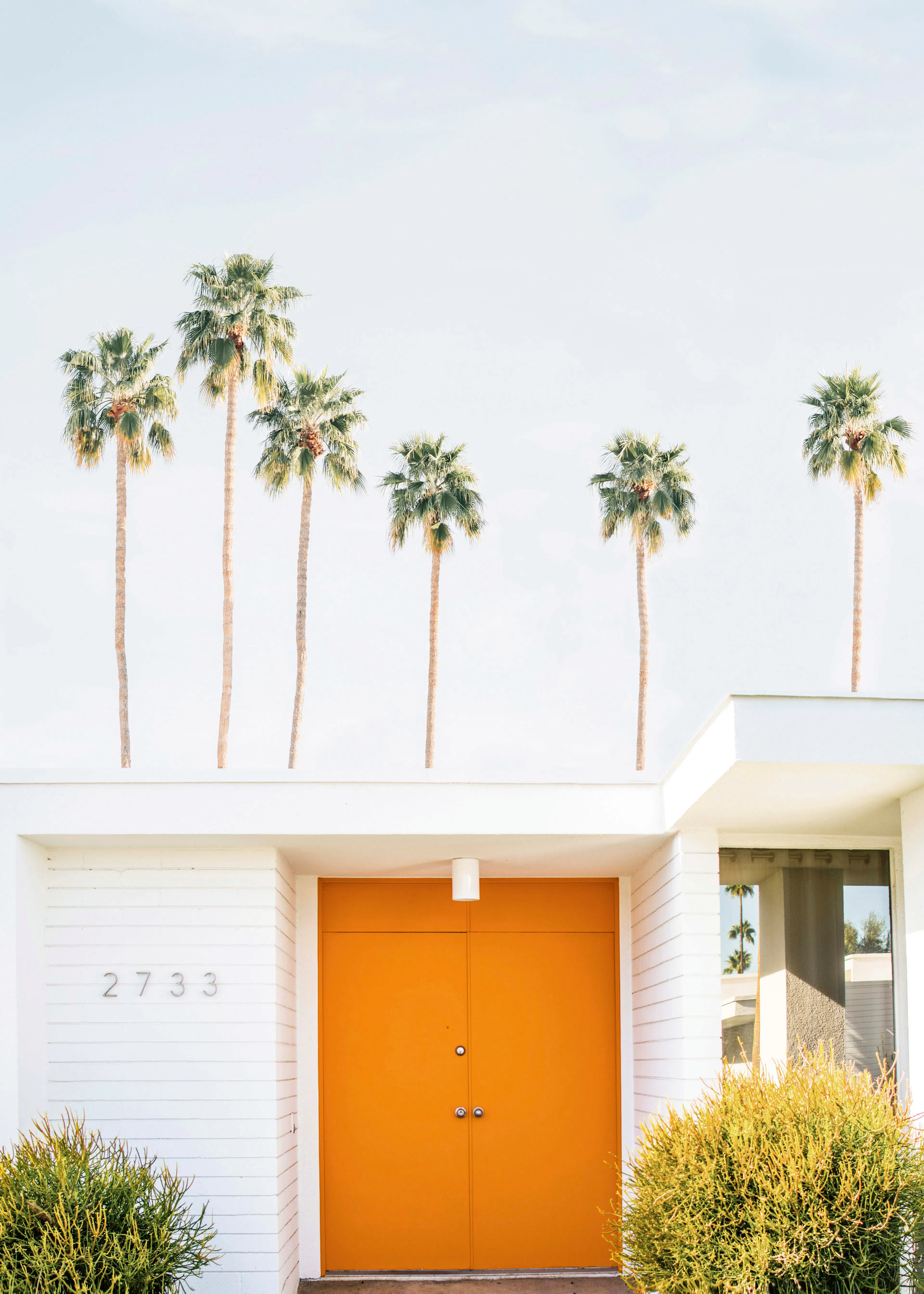 Kathrin Pienaar - Palm Springs 1 Poster 0