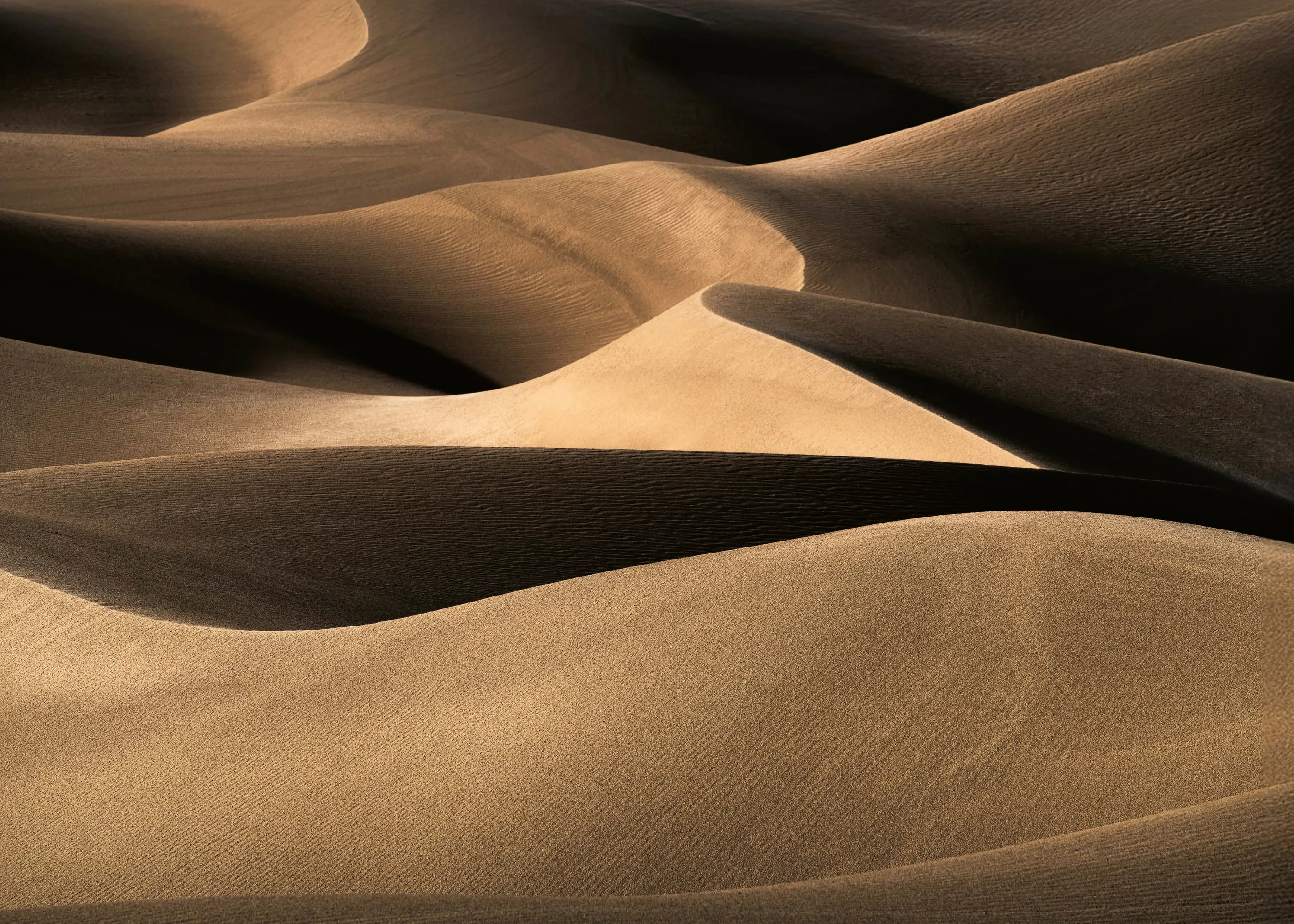 Ling Jiang - Flowing Desert Sands Poster 0