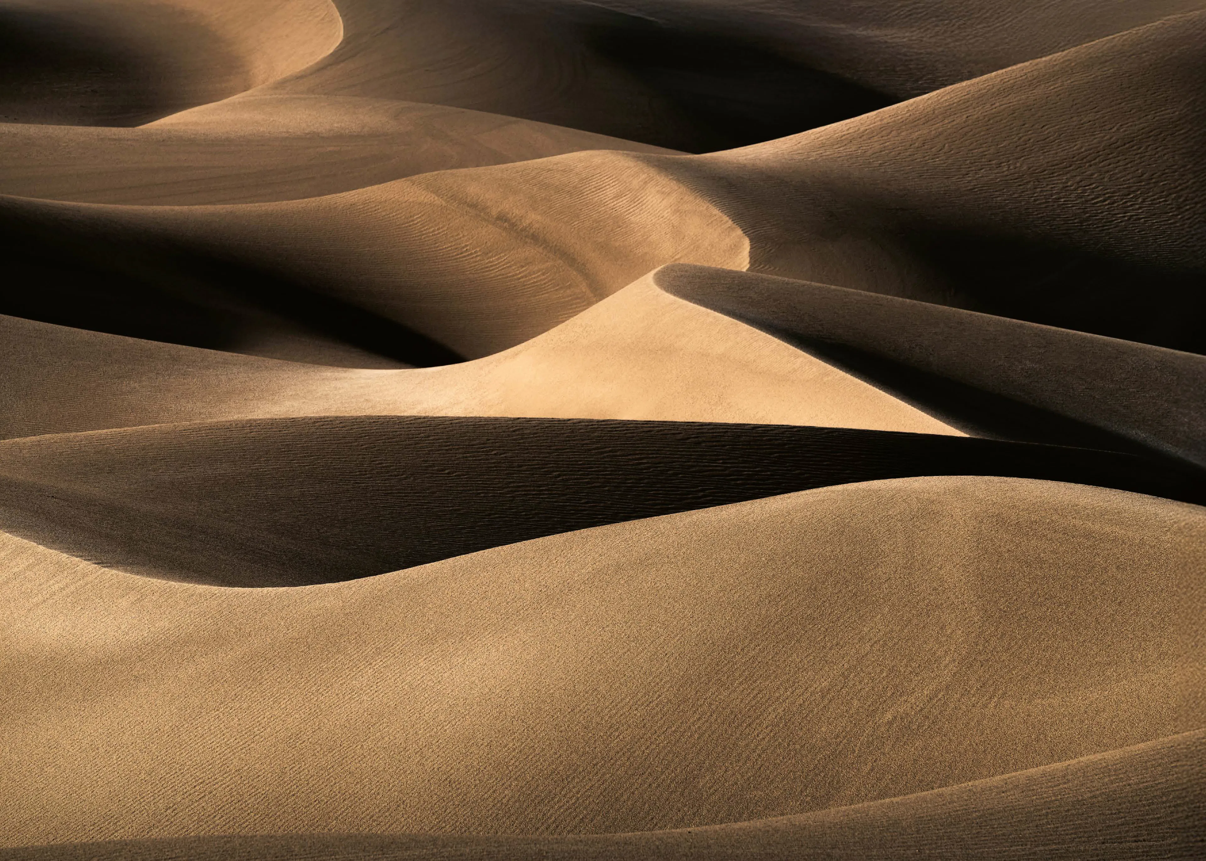 Ling Jiang - Flowing Desert Sands Poster 0