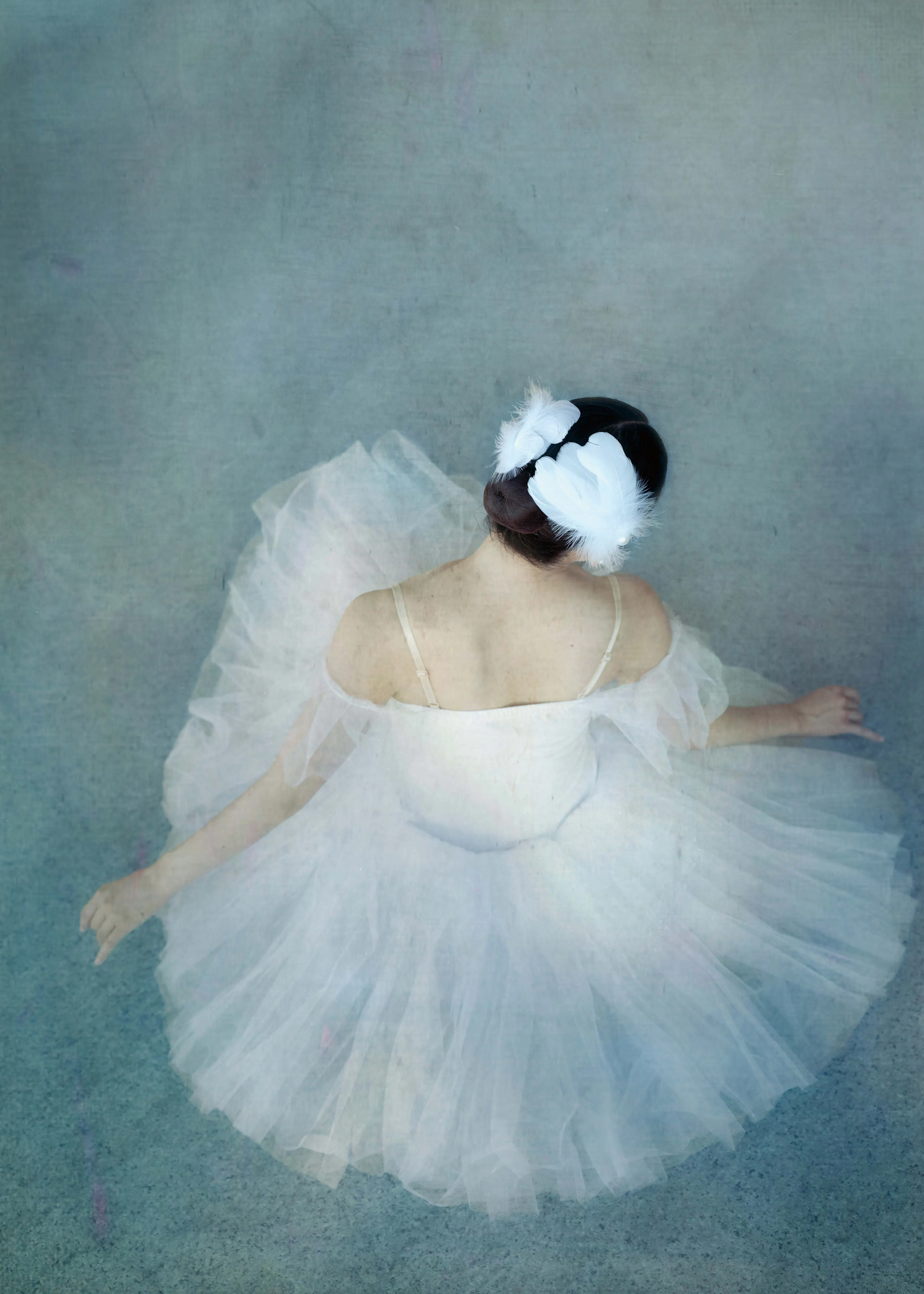 Catherine Wang - Elegantní baletní labuť plakát 0