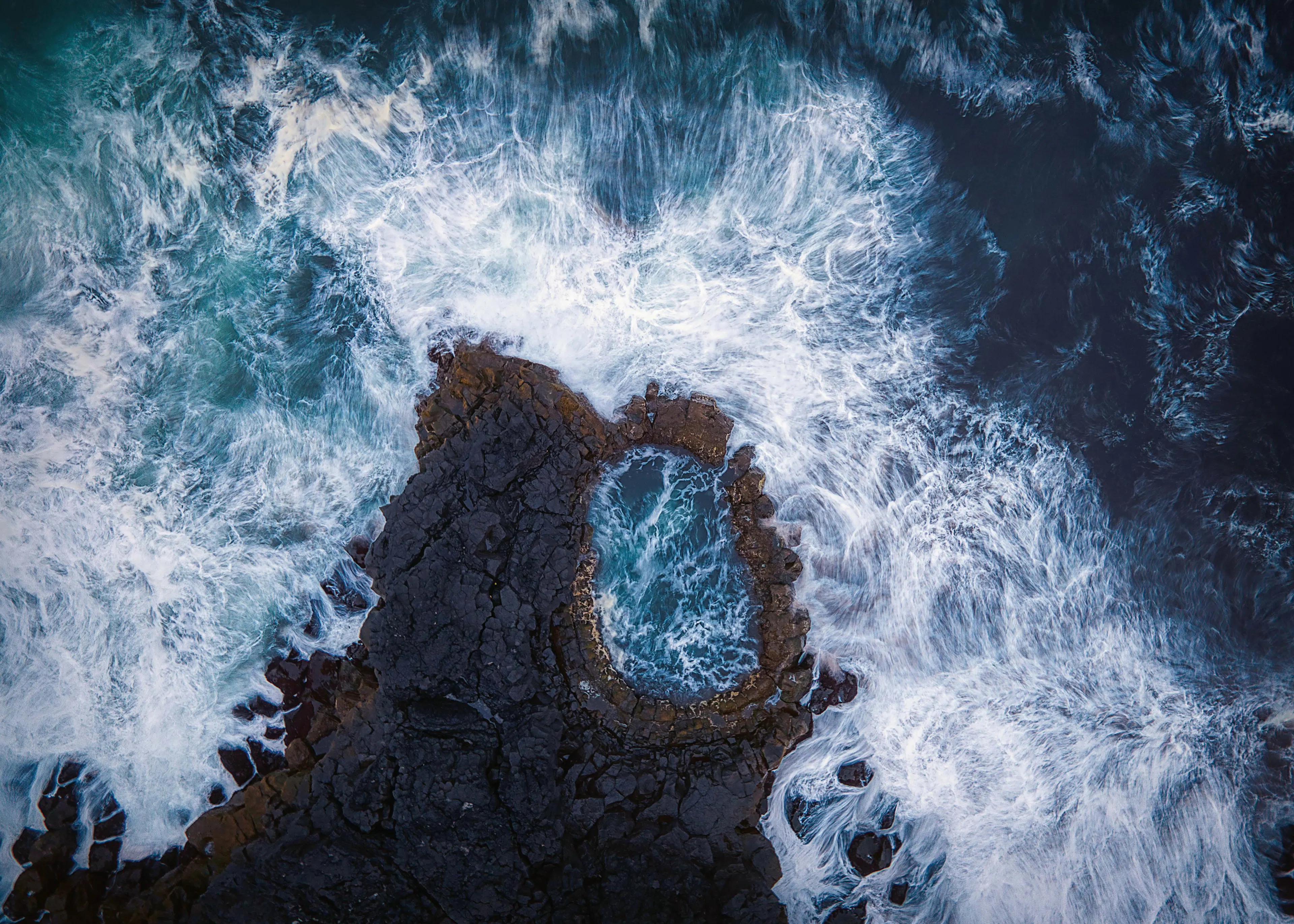 Judith Kuhn - Wild Ocean Tide Pool Poster 0