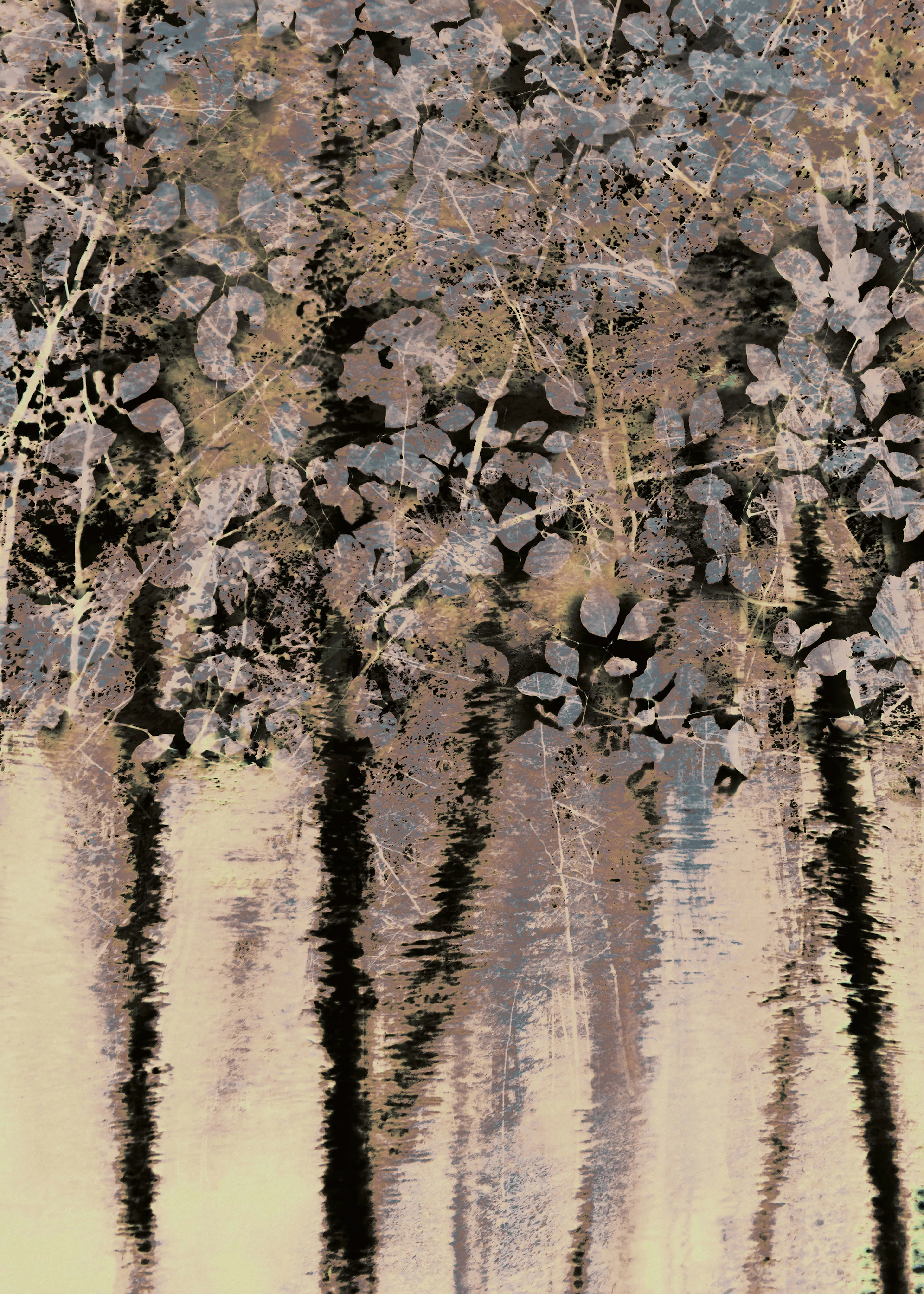 Christina Sillen - Reflets sombres de la forêt Poster 0
