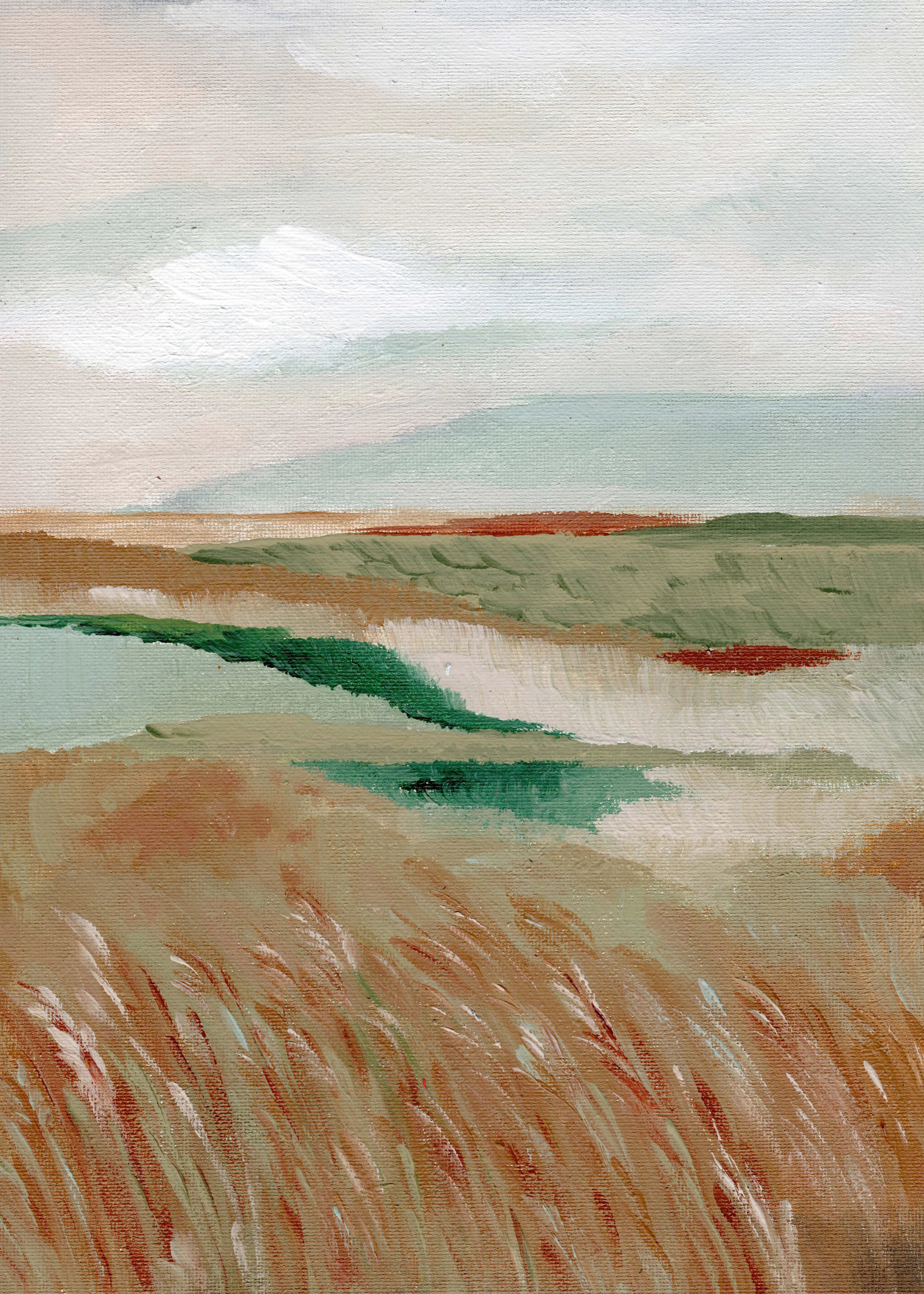 Nikita Jariwala - Vue paisible des marais Poster 0