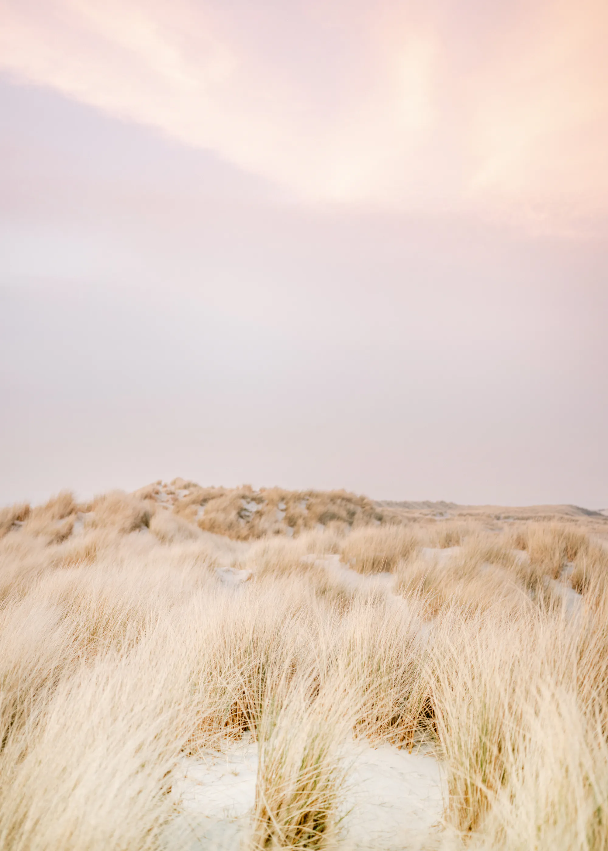 Raisa Zwart - Ameland Dunes 2 Plakat 0