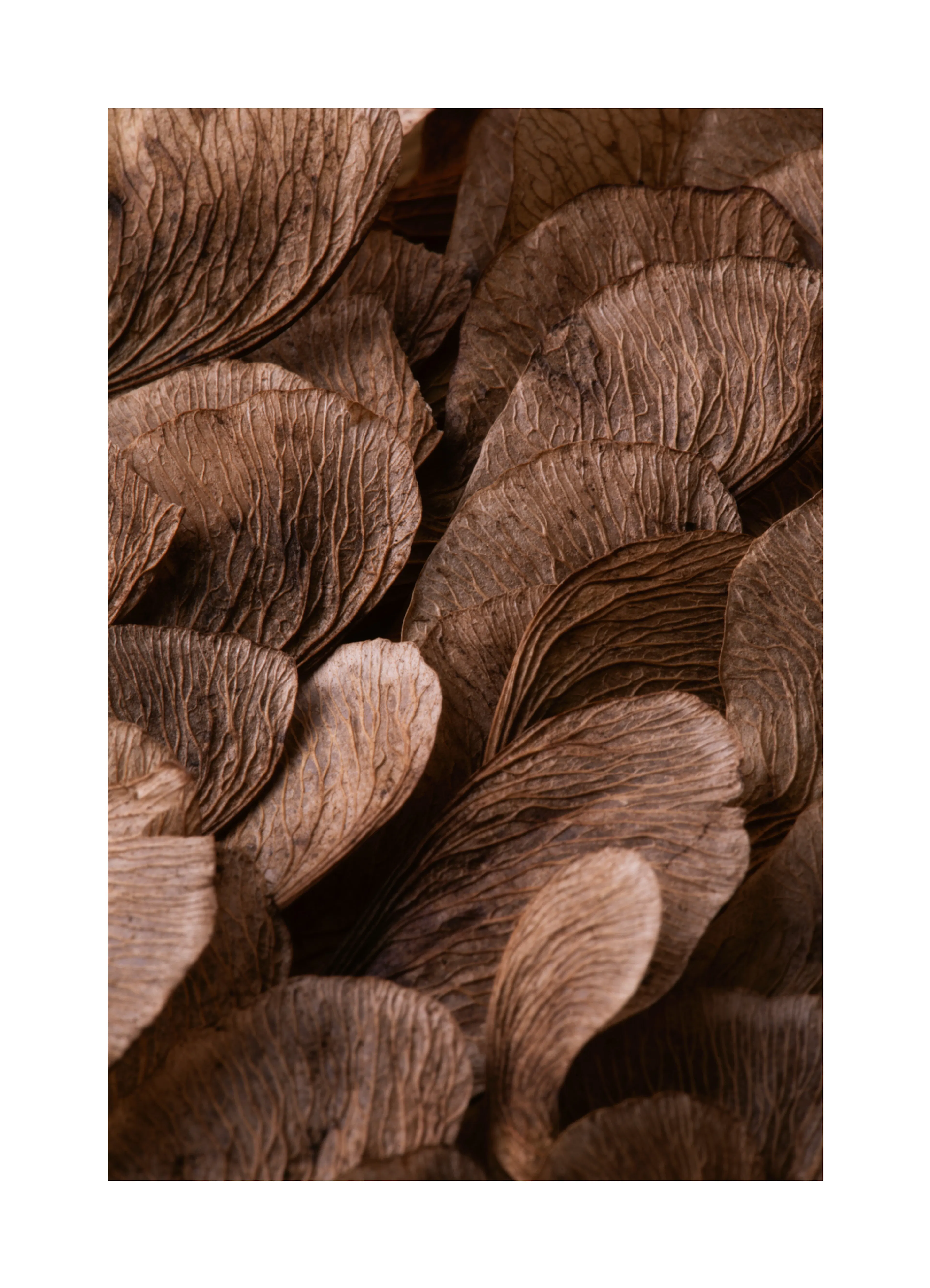 Product image: 1