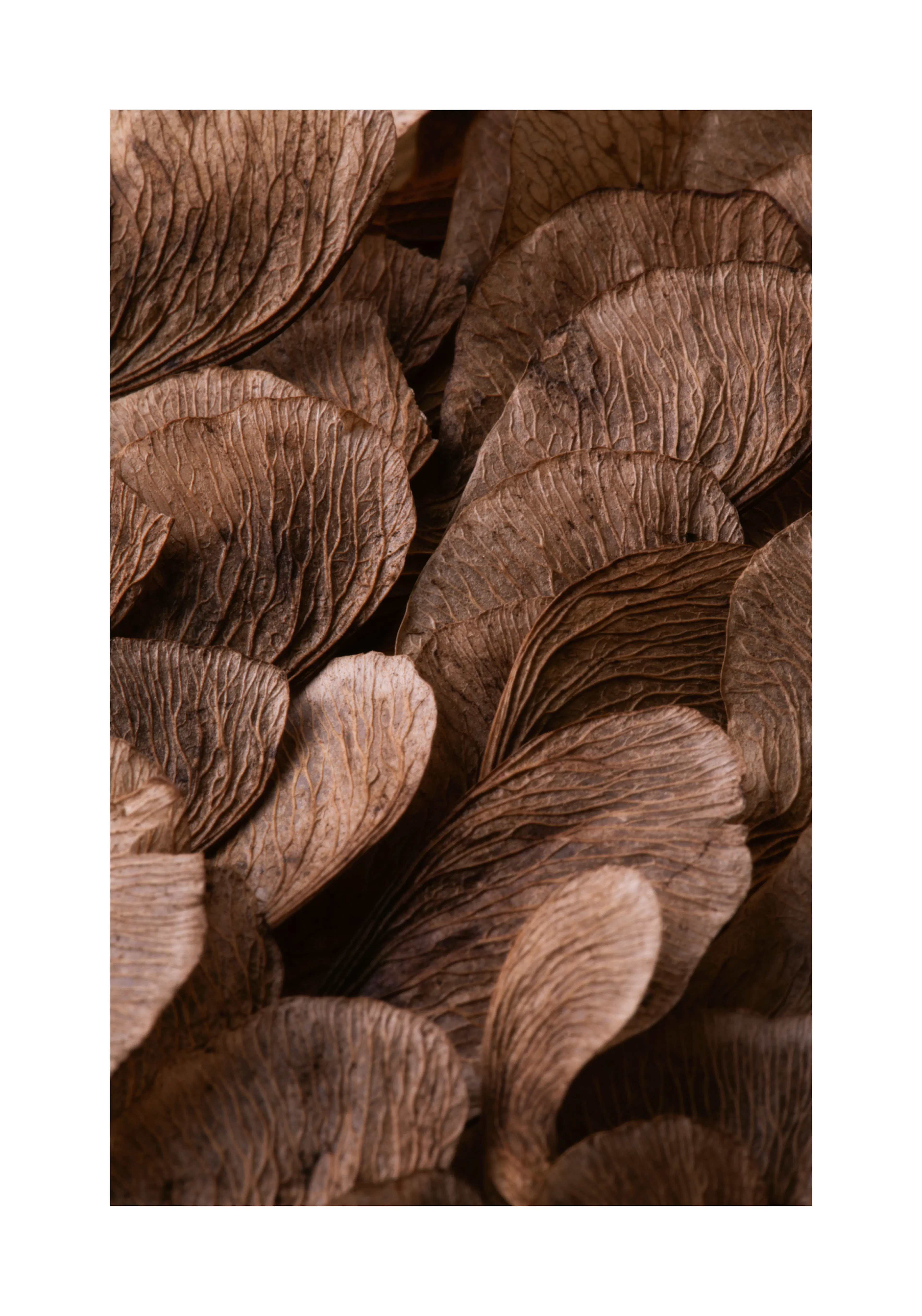 Product image: 1