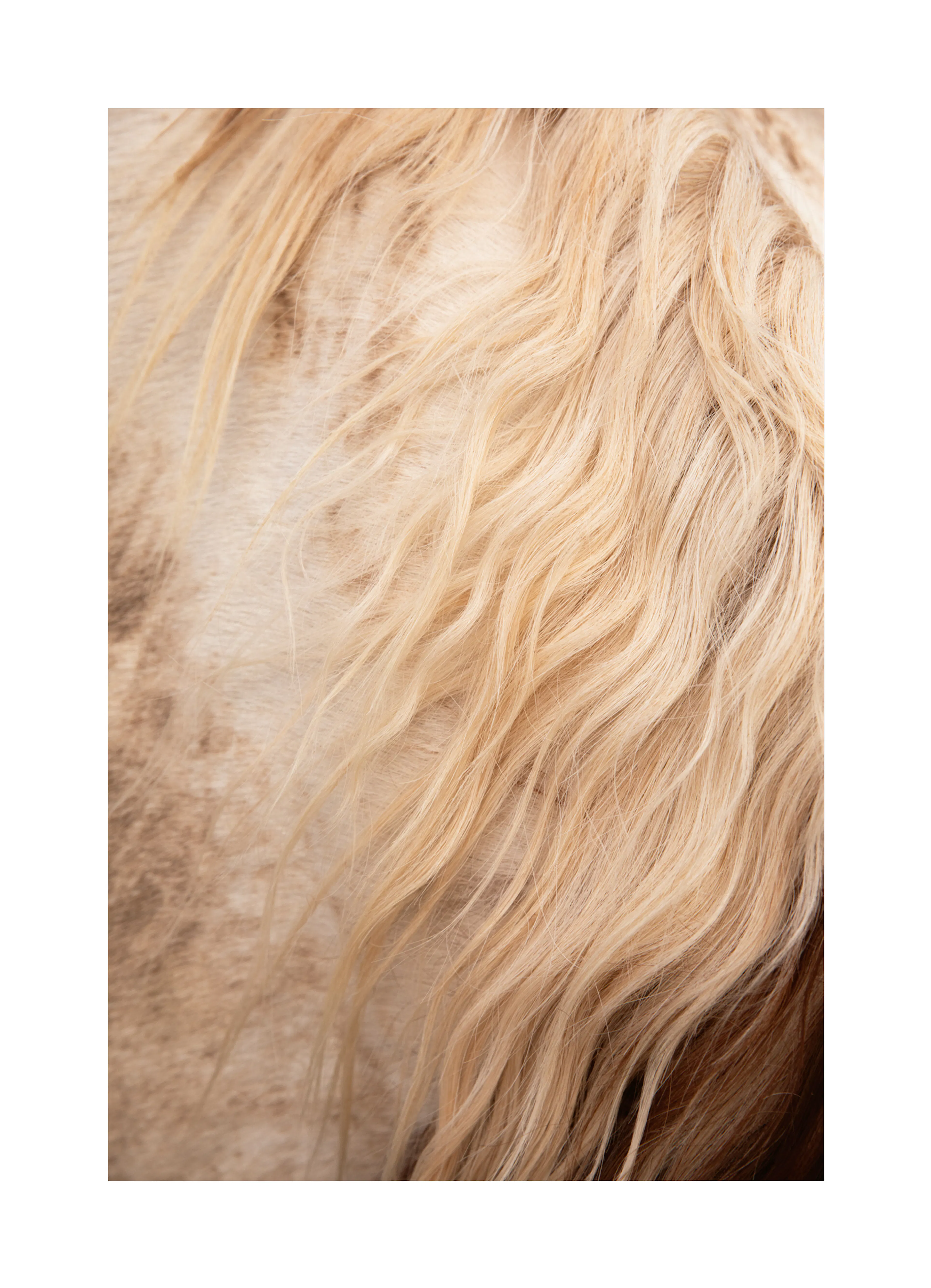 Product image: 1