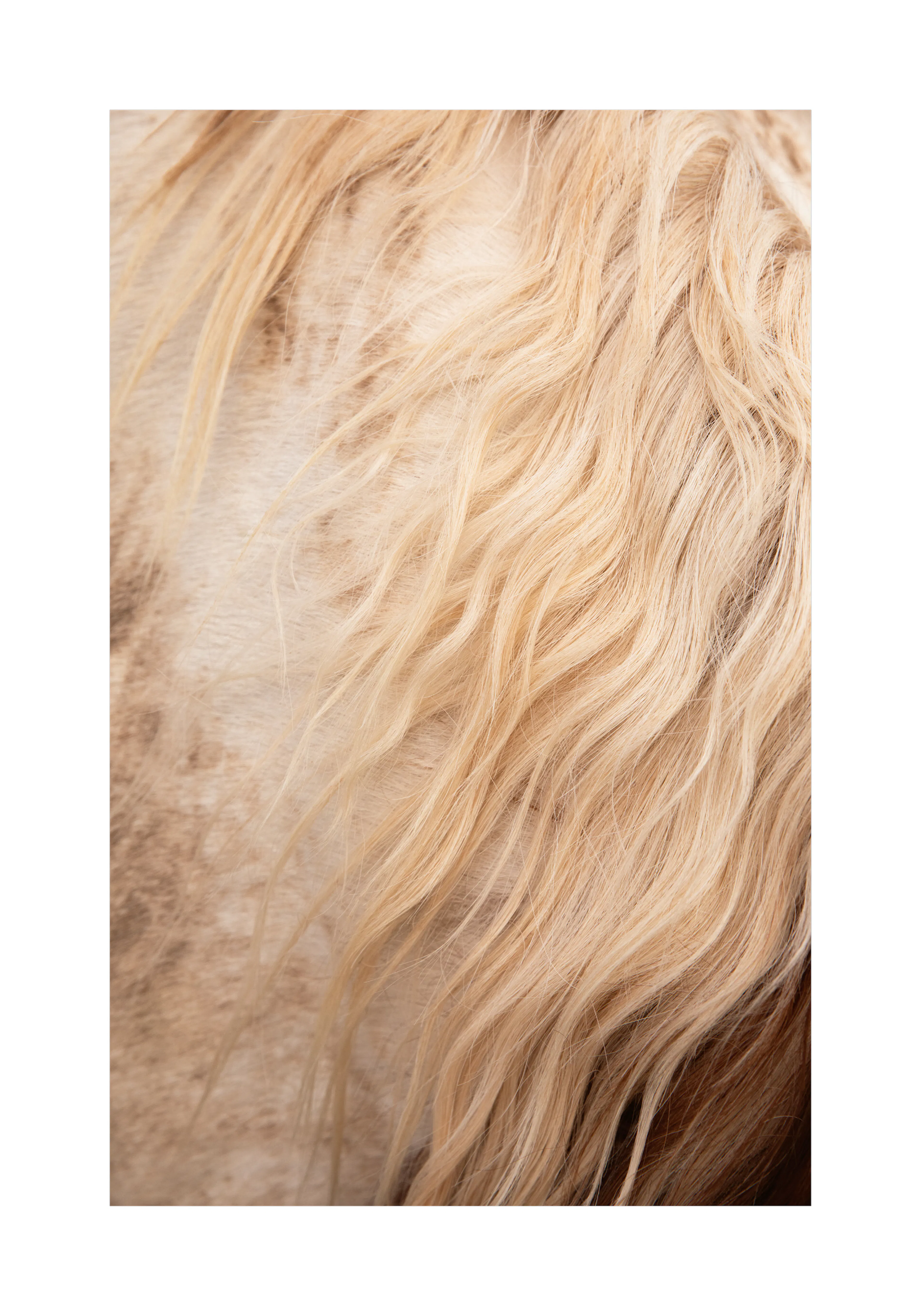 Product image: 1