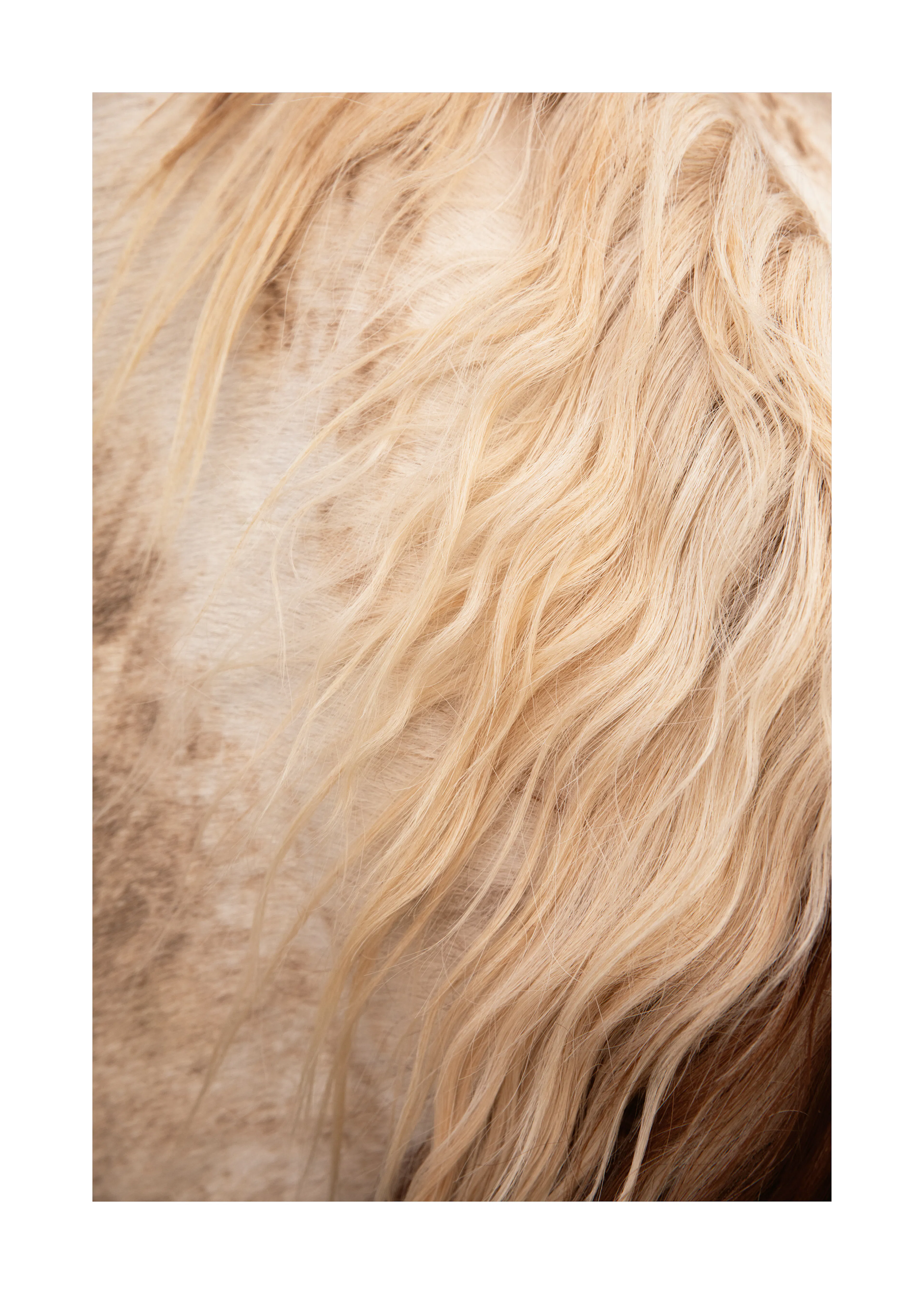 Blonde Hair Texture Poster 0